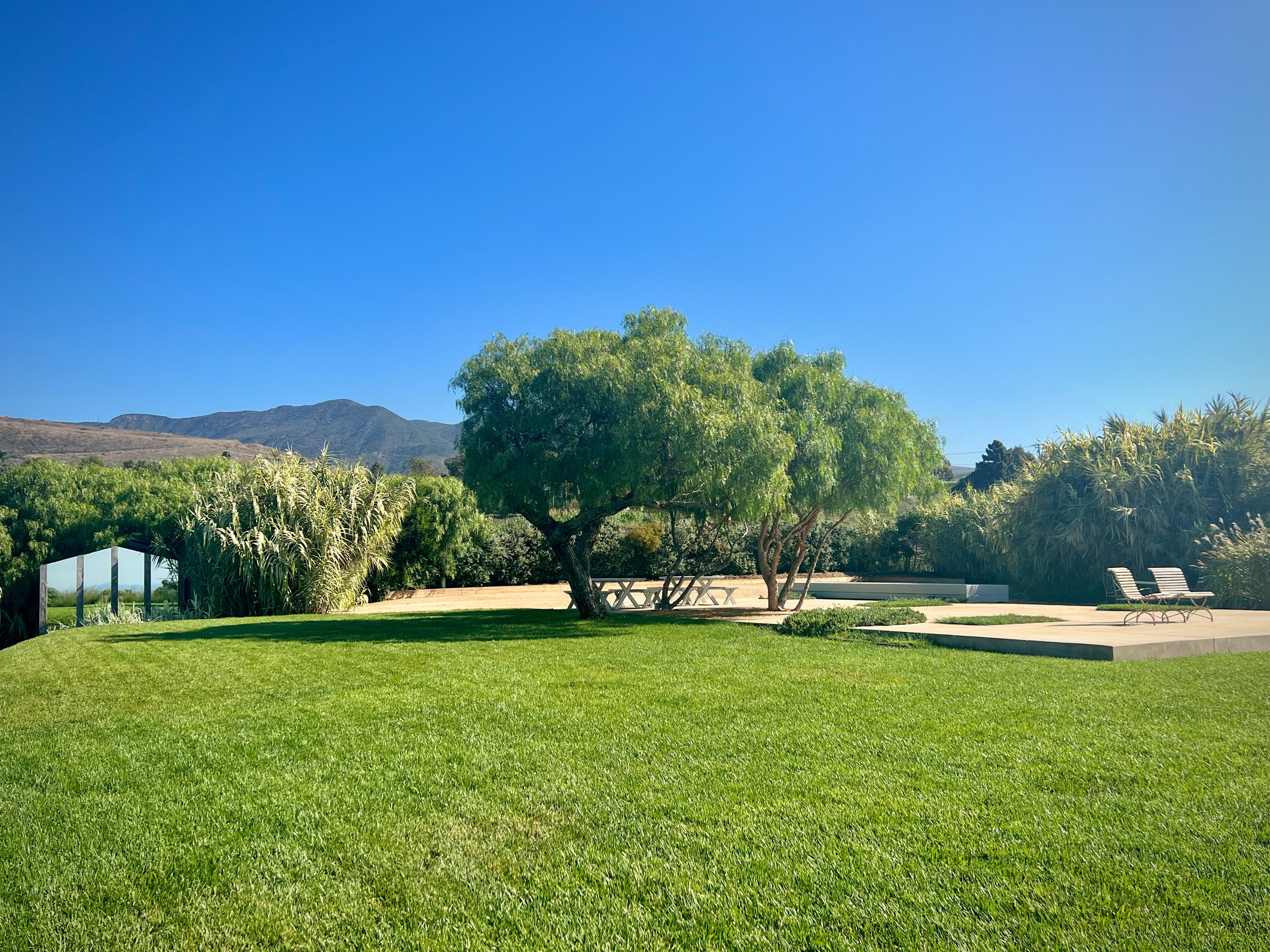 Cover photo of Malibu Modern Garden