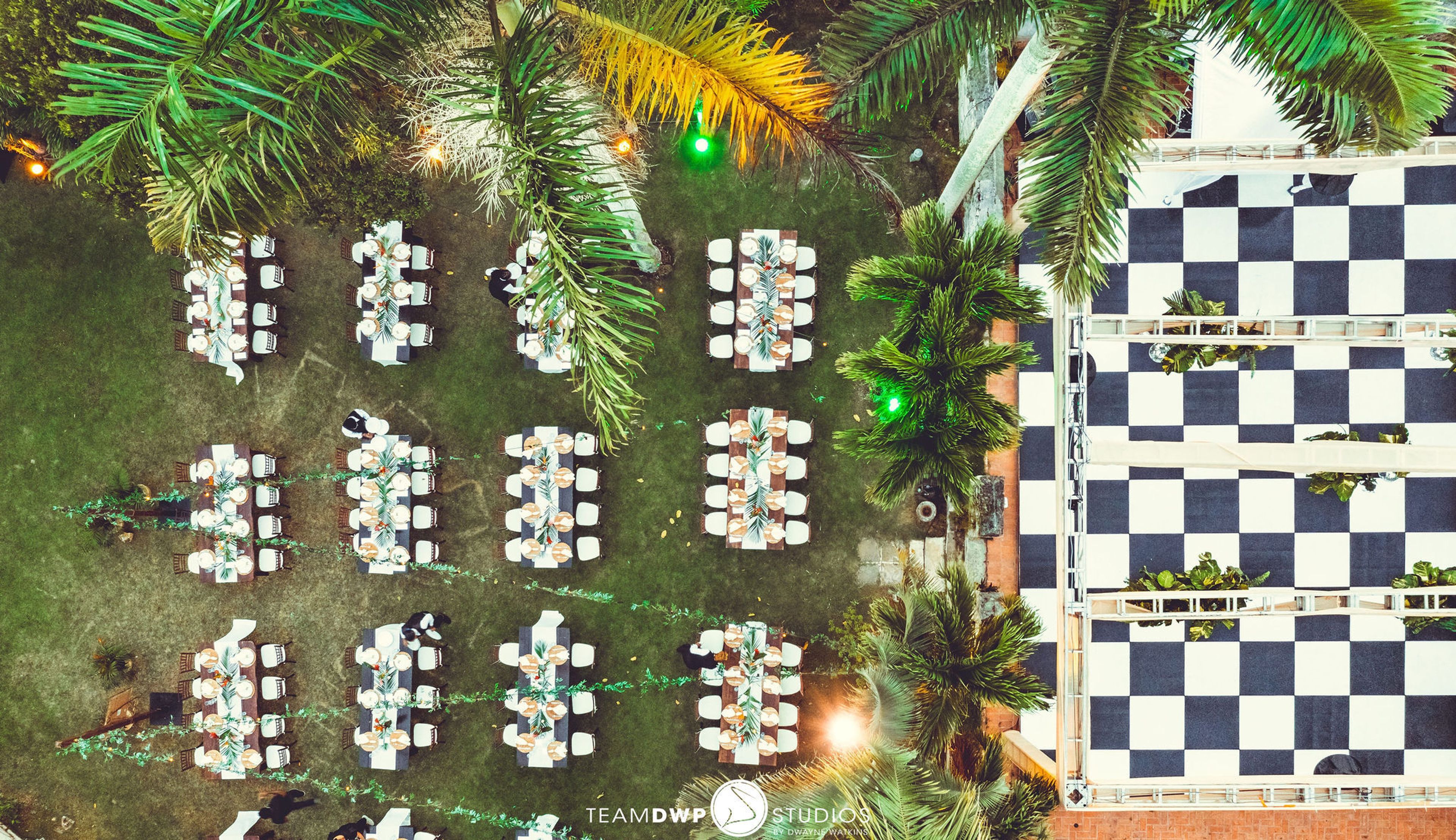 Cover photo of Dragonfly Experiences