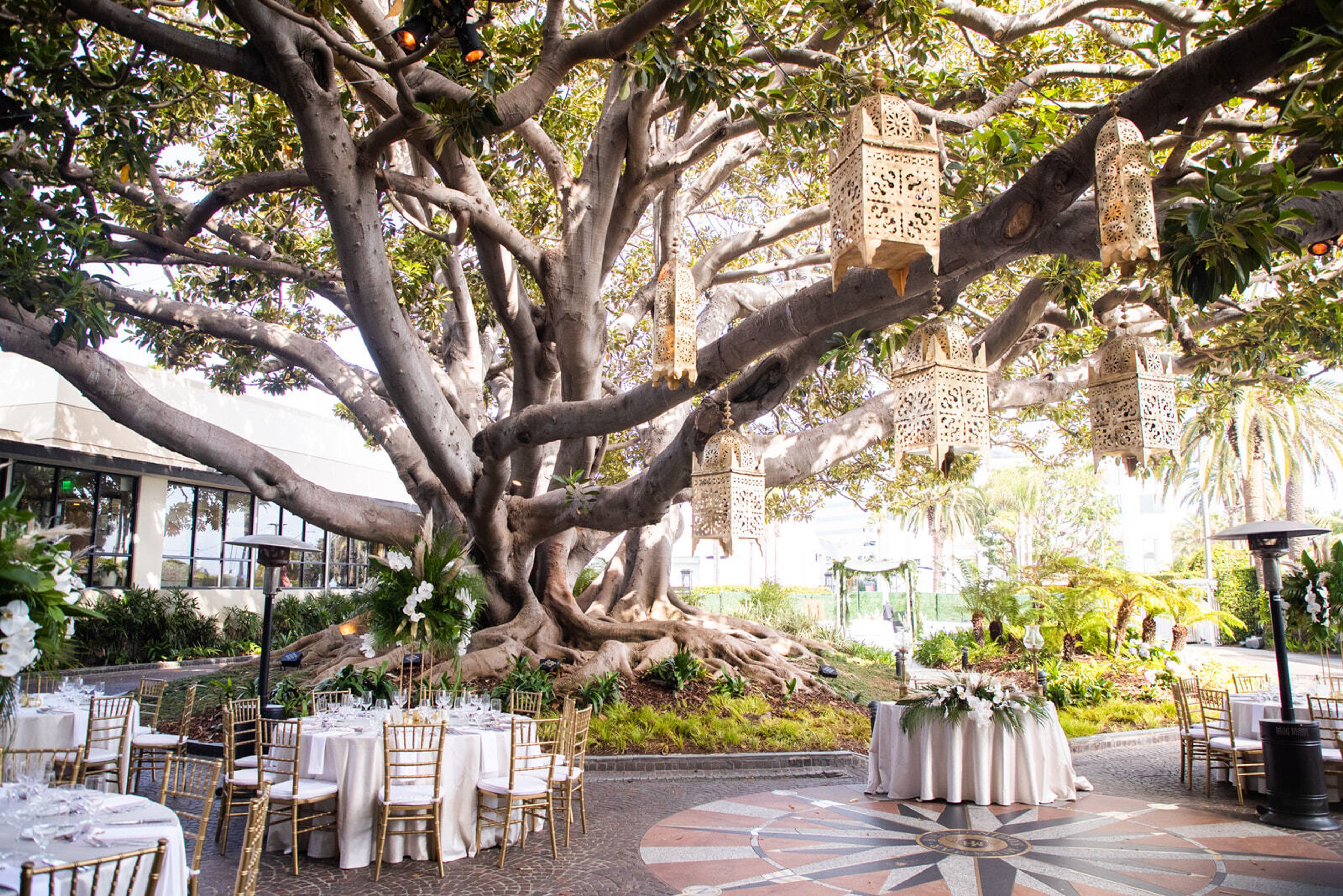 Cover photo of Krystal Klear Special Events