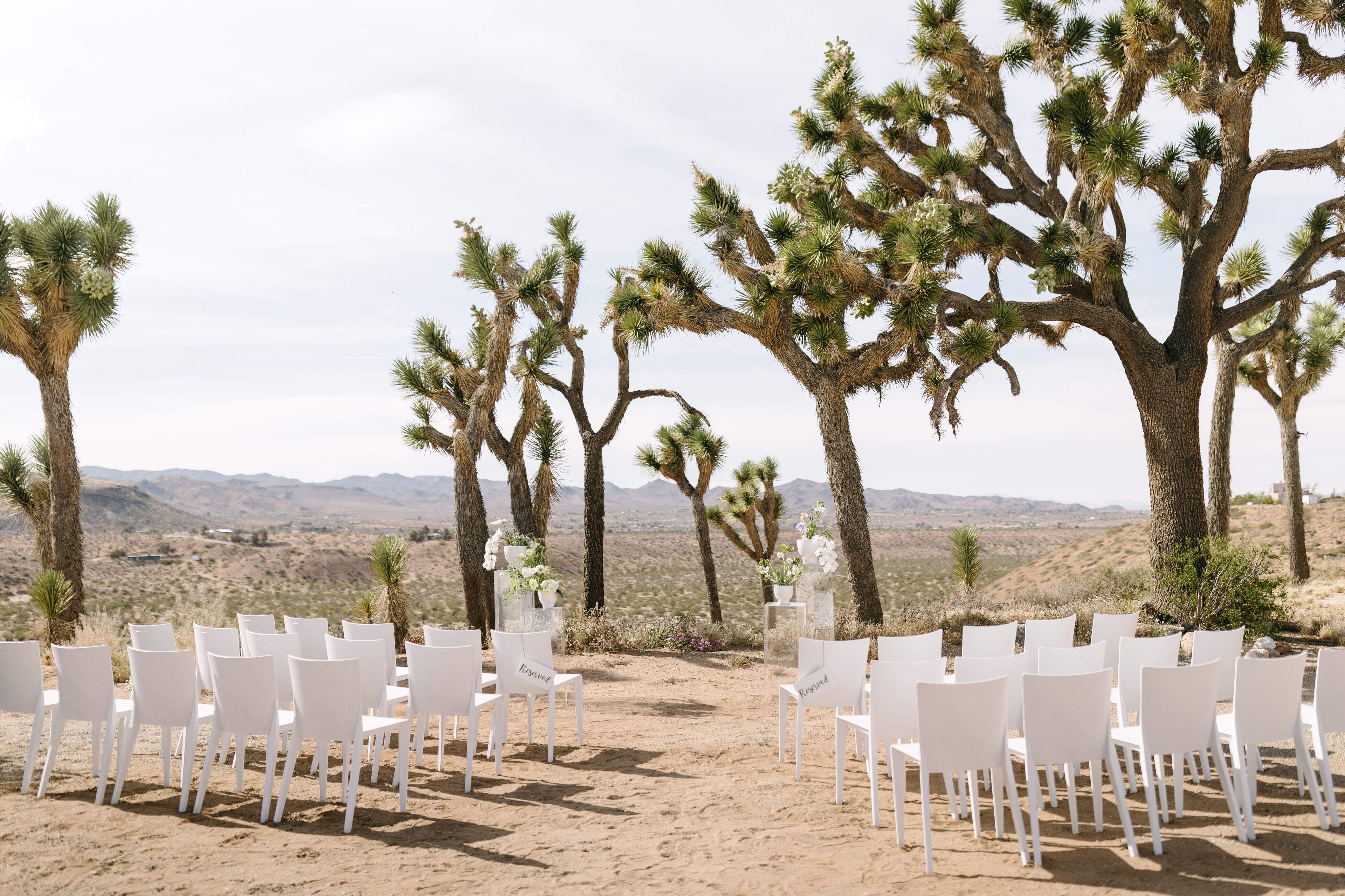 Cover photo of Krystal Klear Special Events