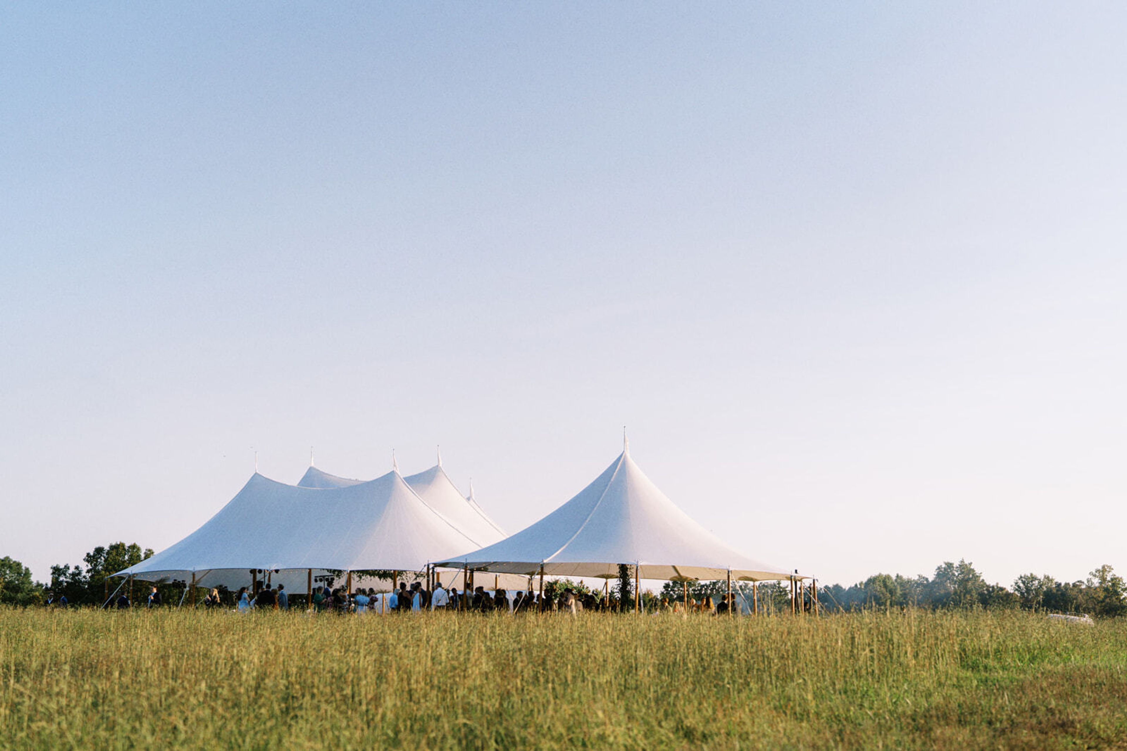 Cover photo of House of Shannon