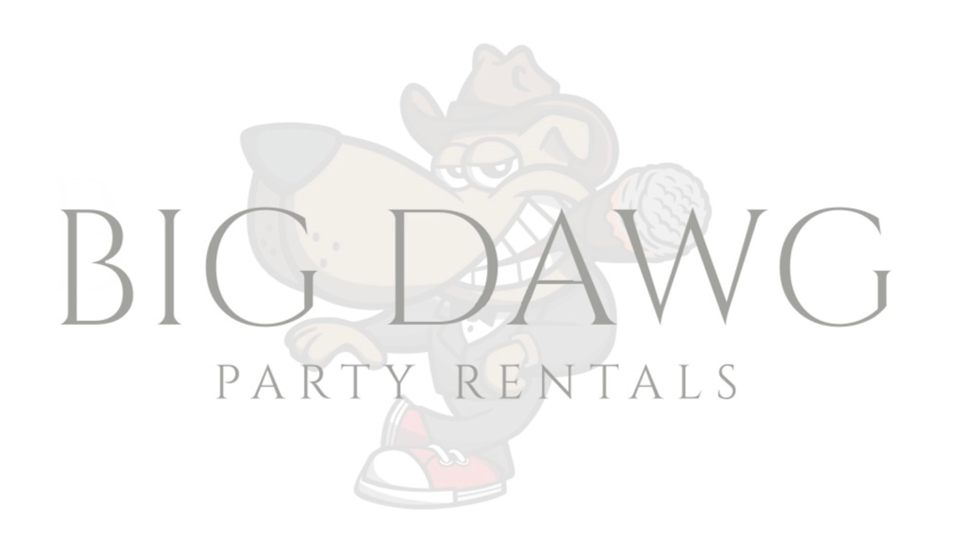Cover photo of Big dawg party rentals