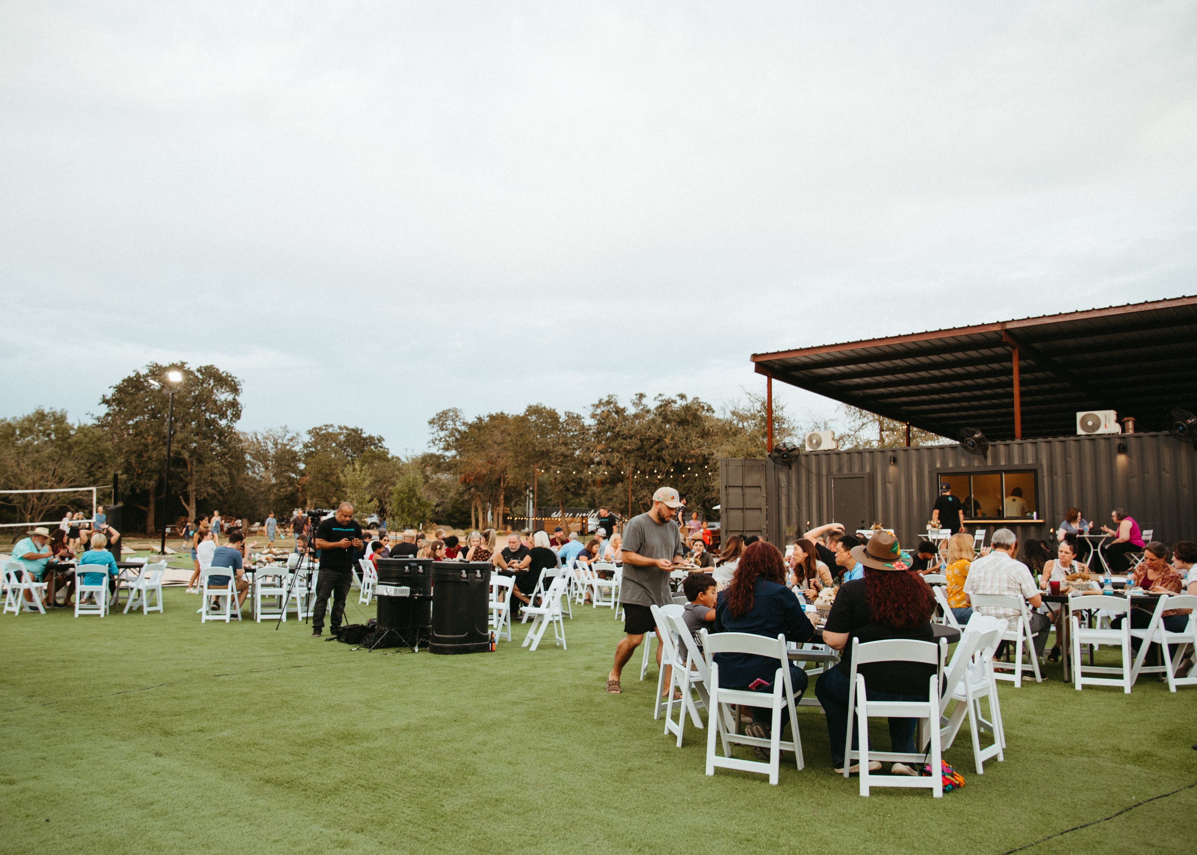 Cover photo of Wild Roots