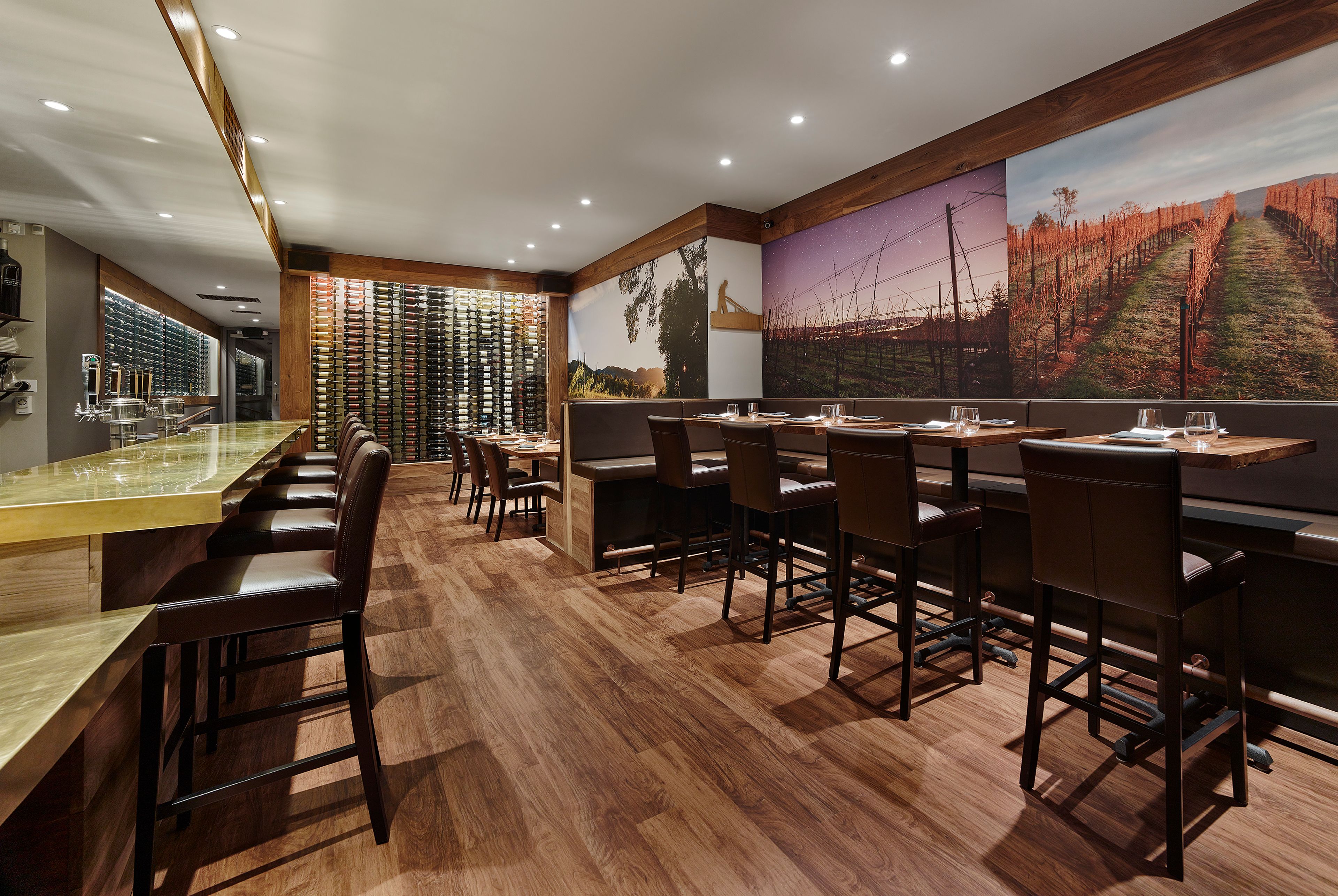 Cover photo of Cultivar San Fransico