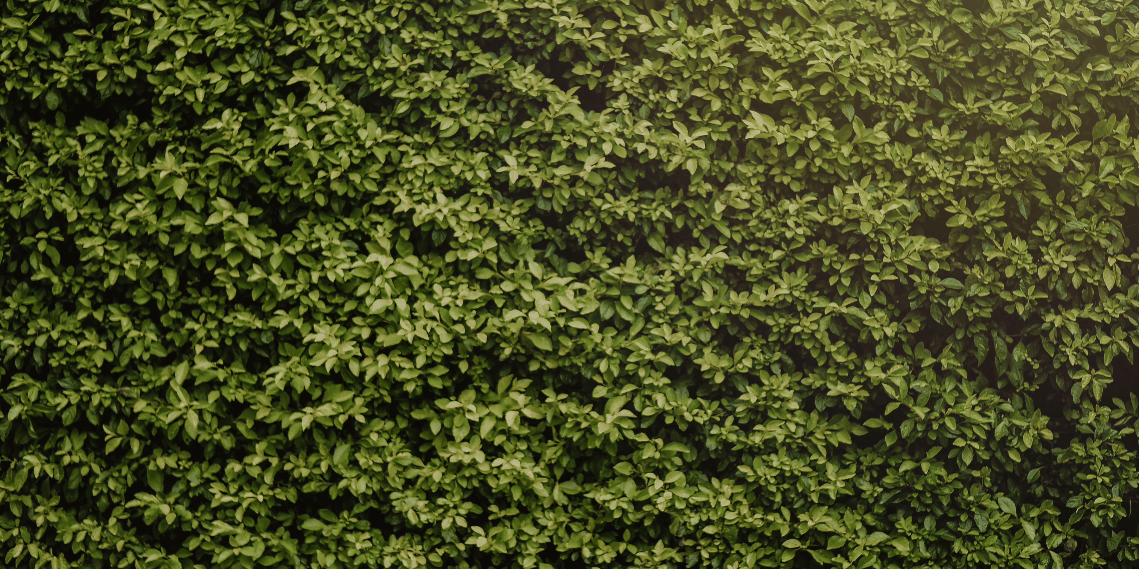 Cover photo of Beverly Elite Events