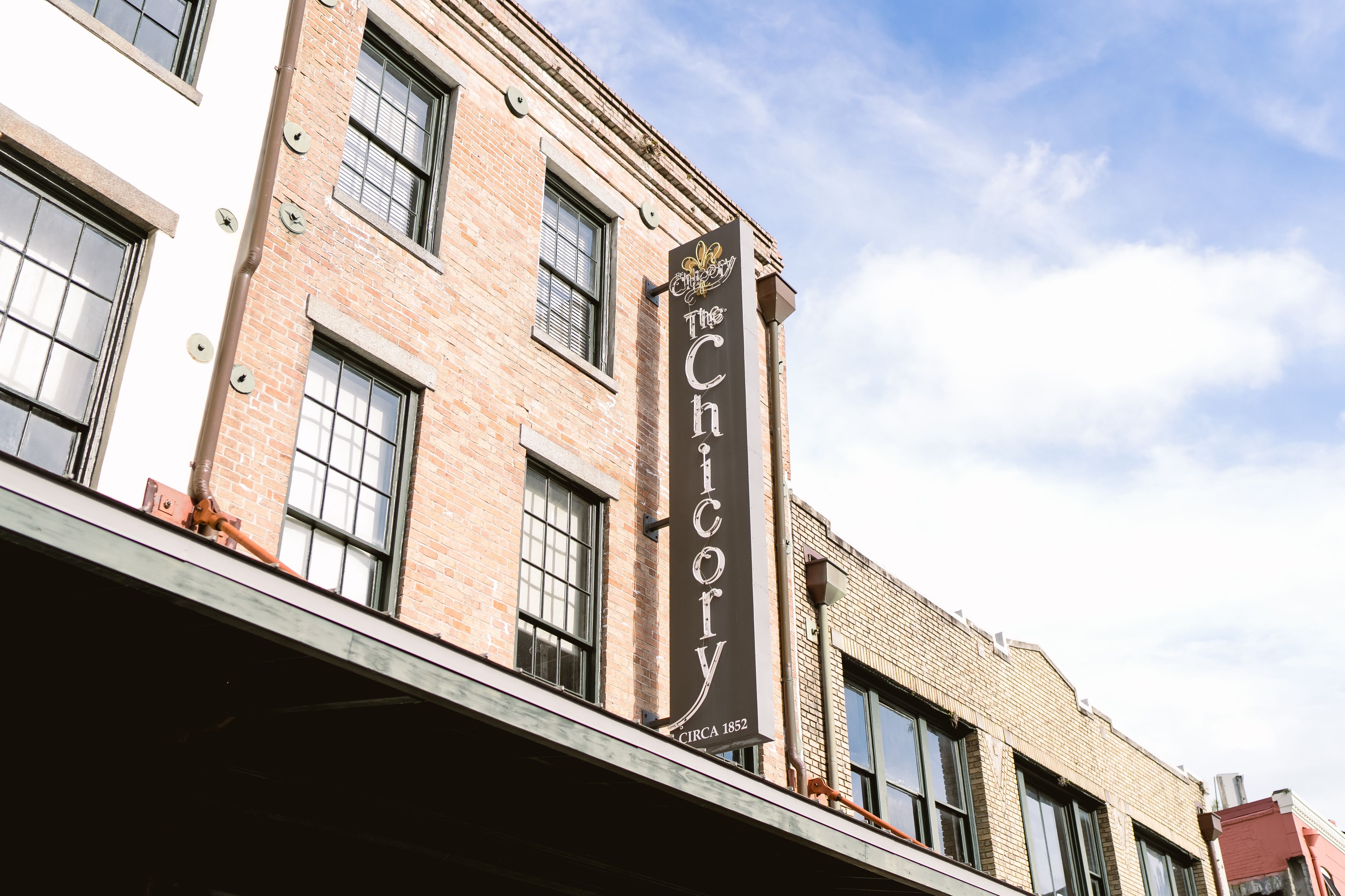 Cover photo of The Chicory