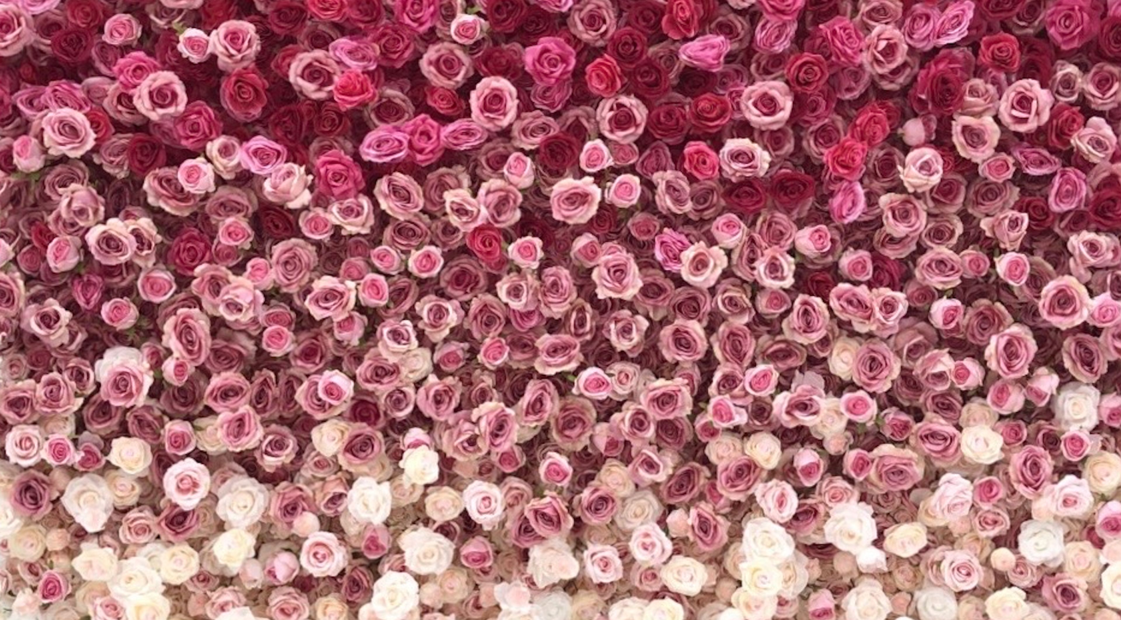 Cover photo of Chicago Party Rental