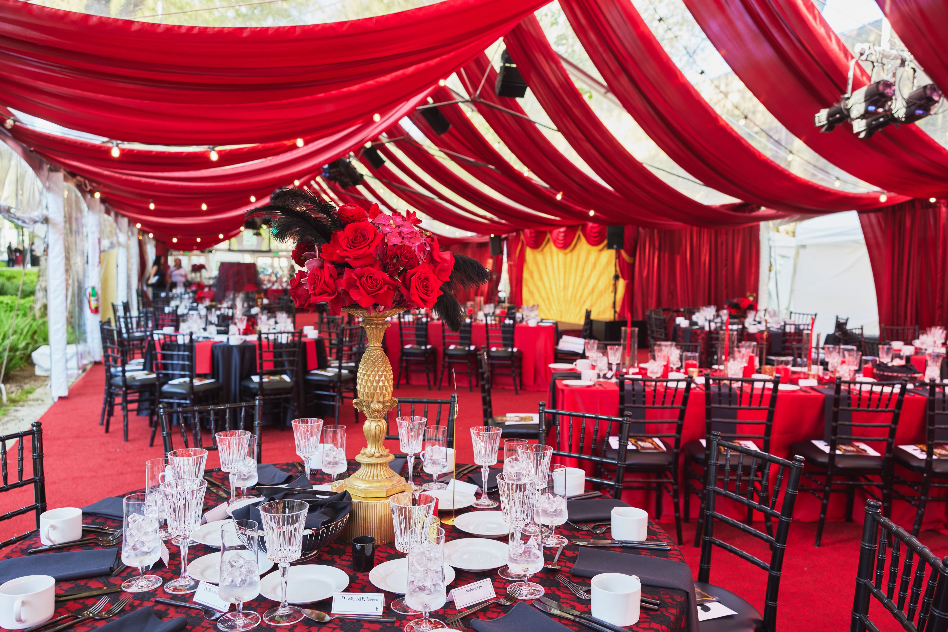 Cover photo of TOLO Events LLC