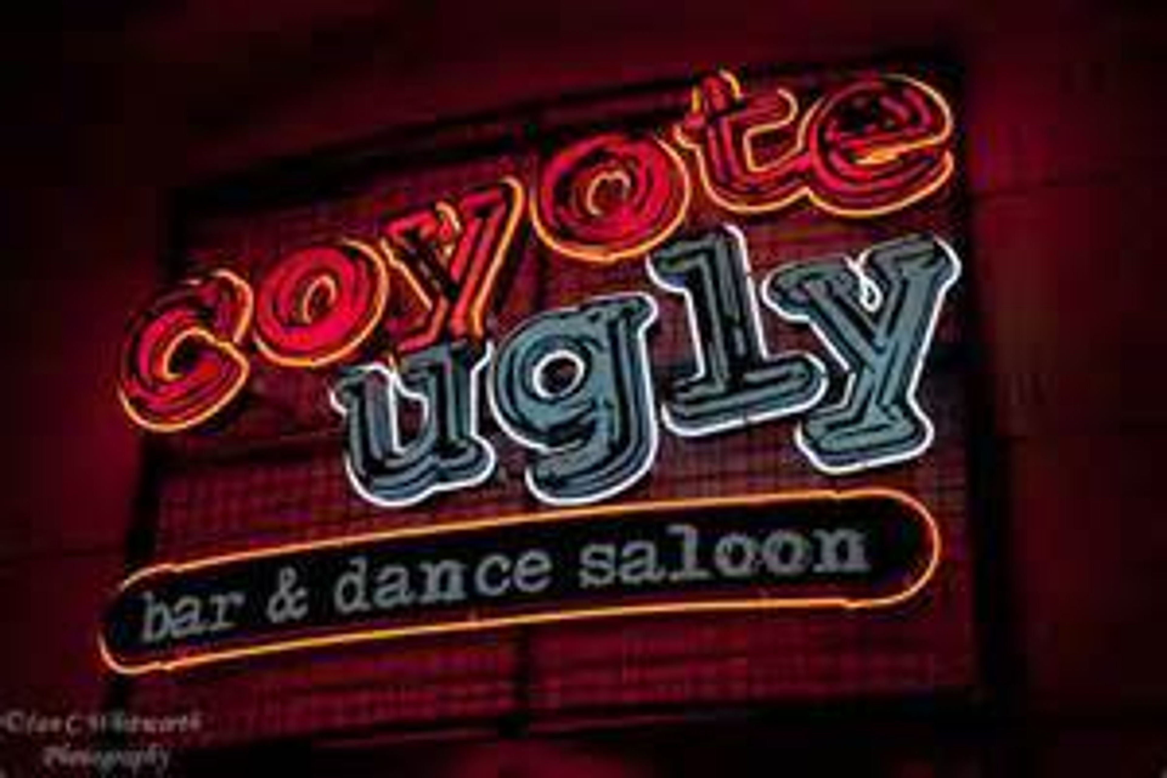 Cover photo of Coyote Ugly Saloon