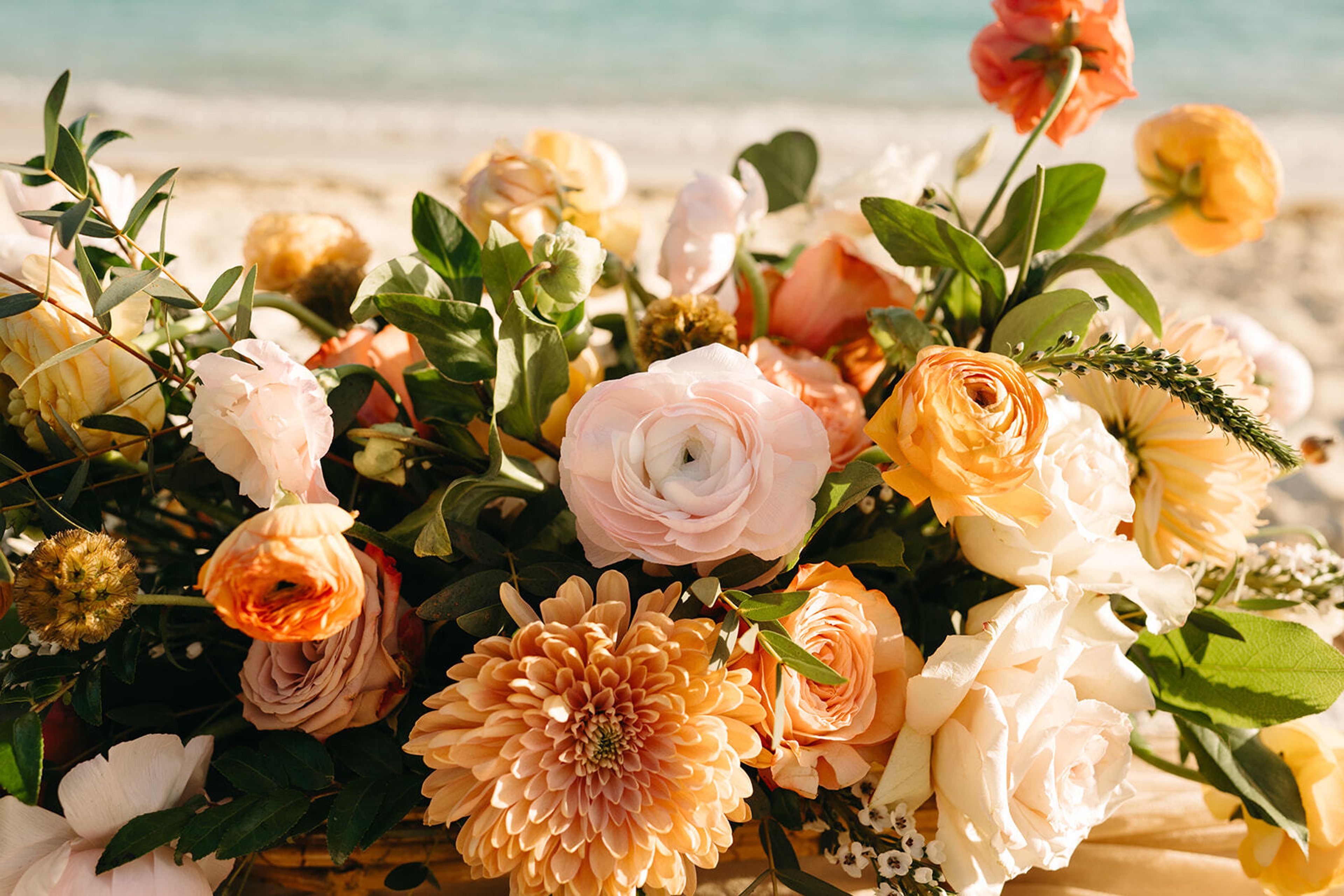 Cover photo of Siena & Co. Events