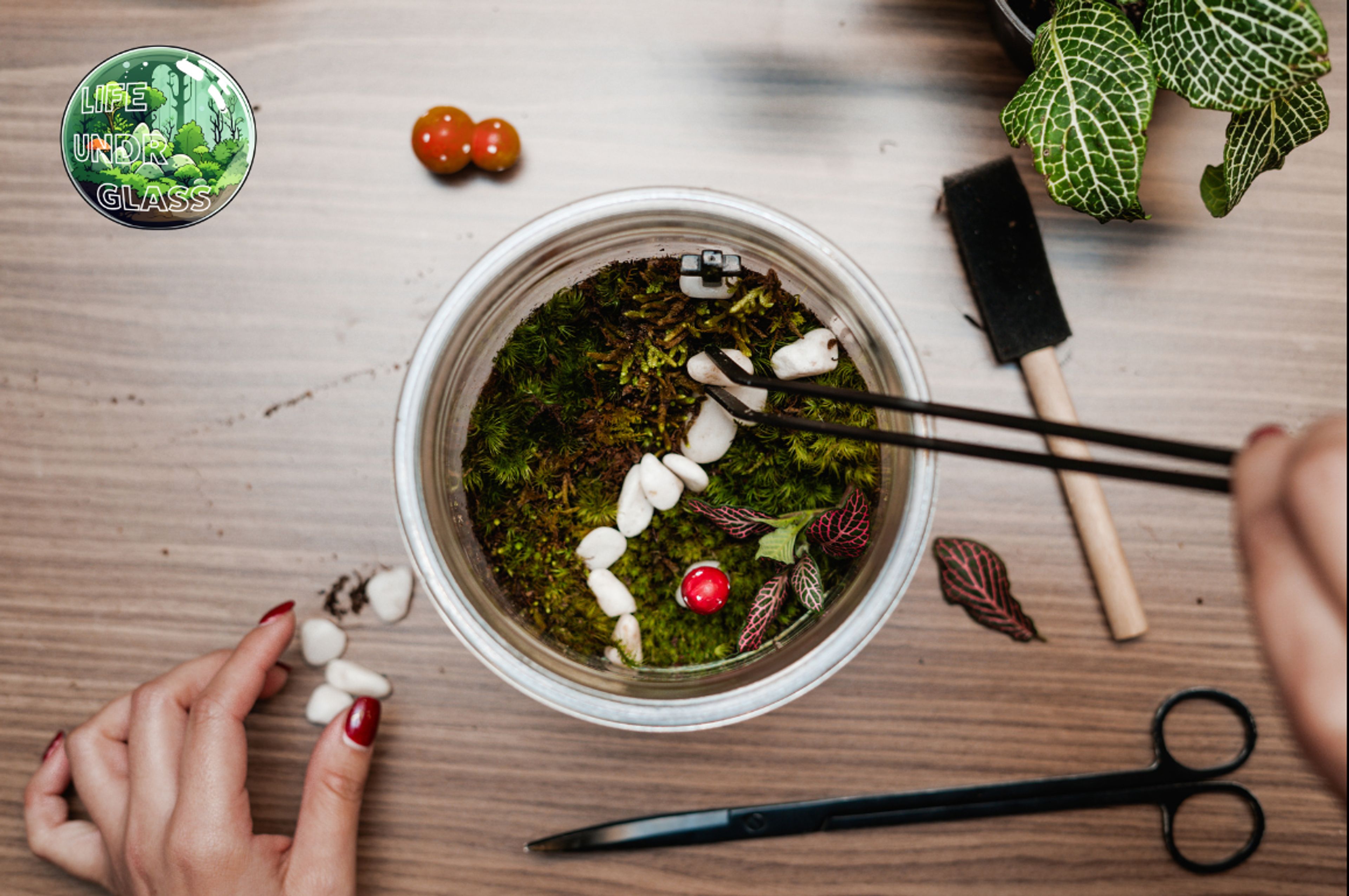 Cover photo of Life Under Glass