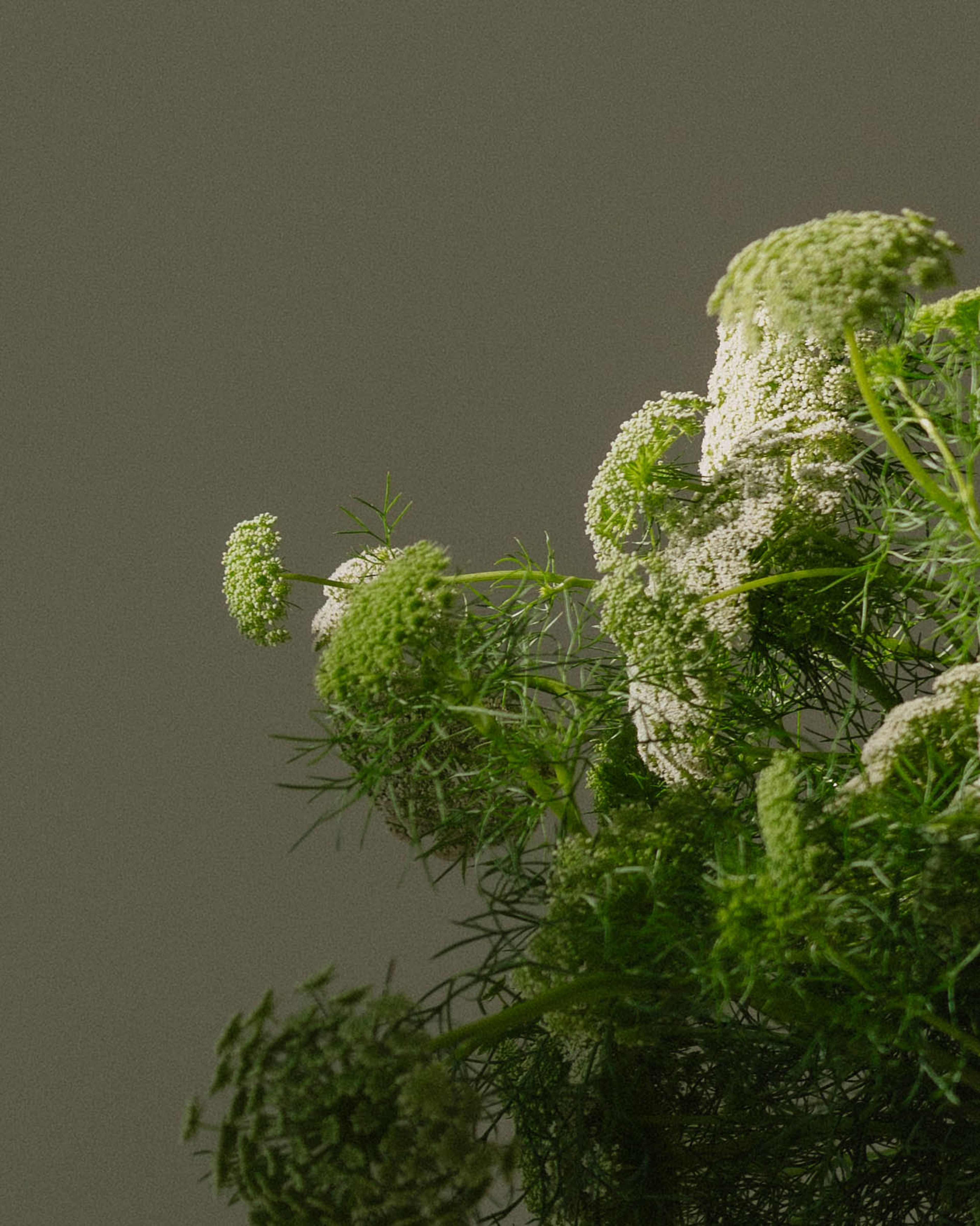 Cover photo of Jess McKinney Events