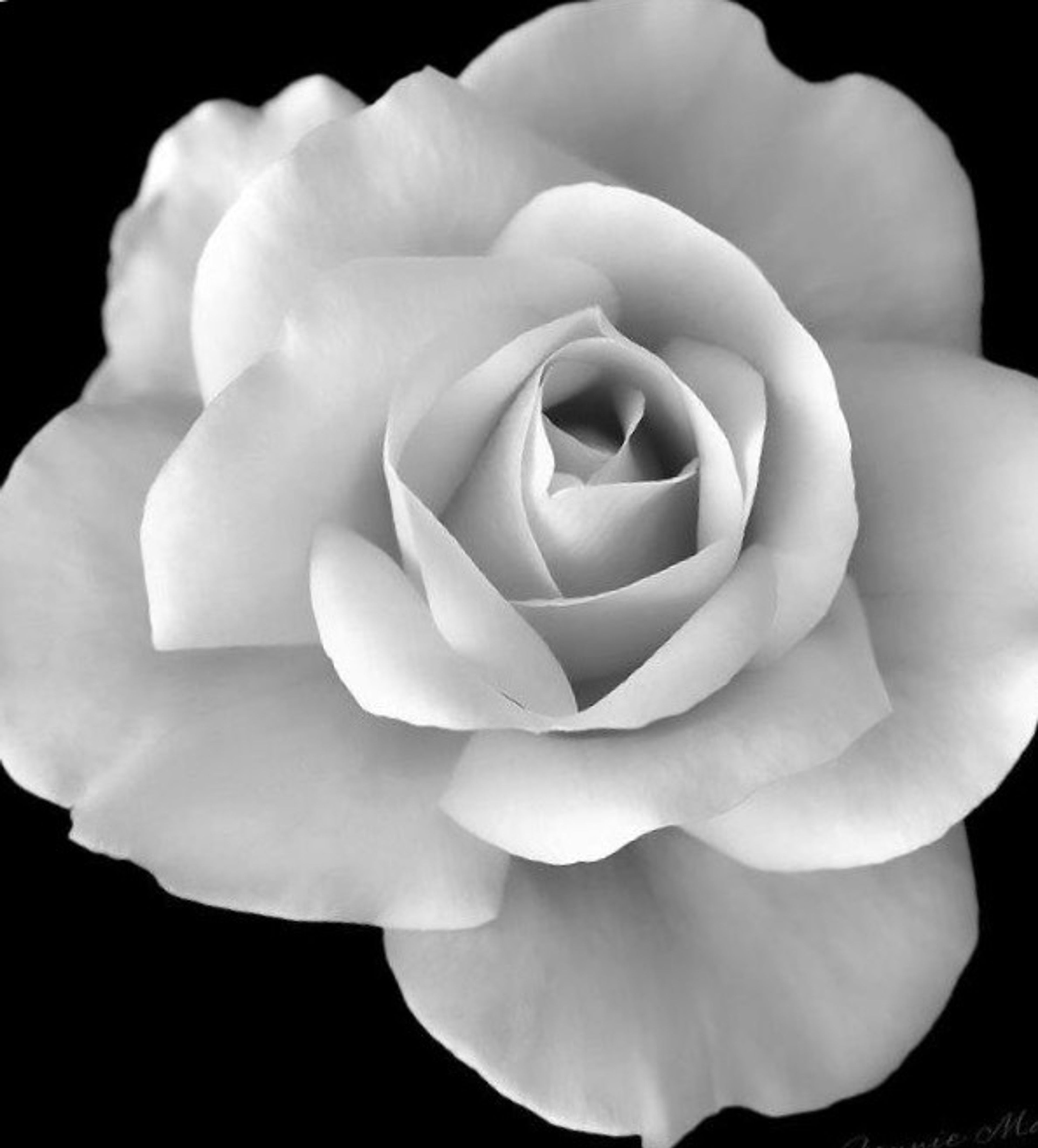 Cover photo of Elite Hospitality Consultants LLC