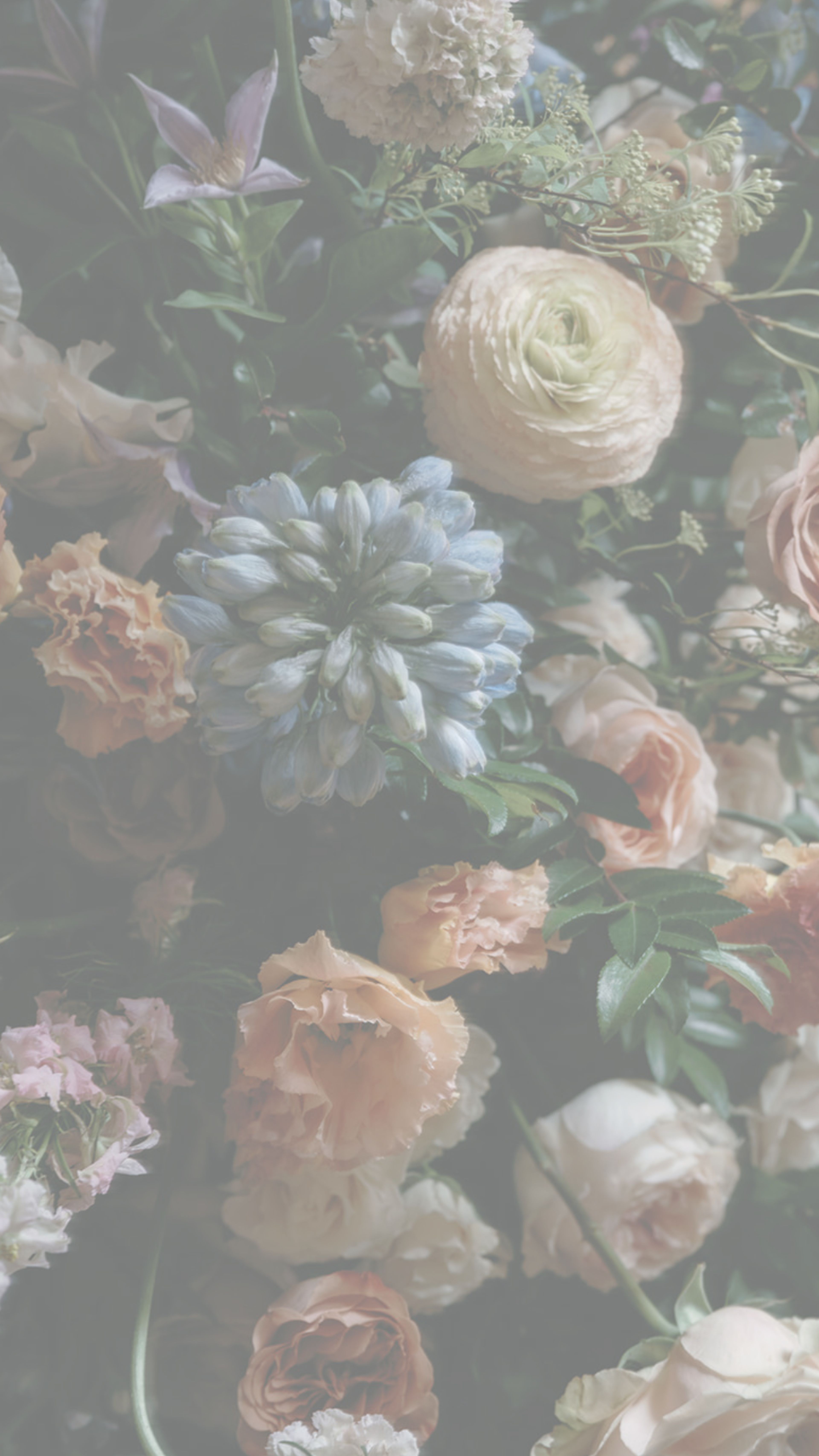 Cover photo of Renee Lemaire Photography