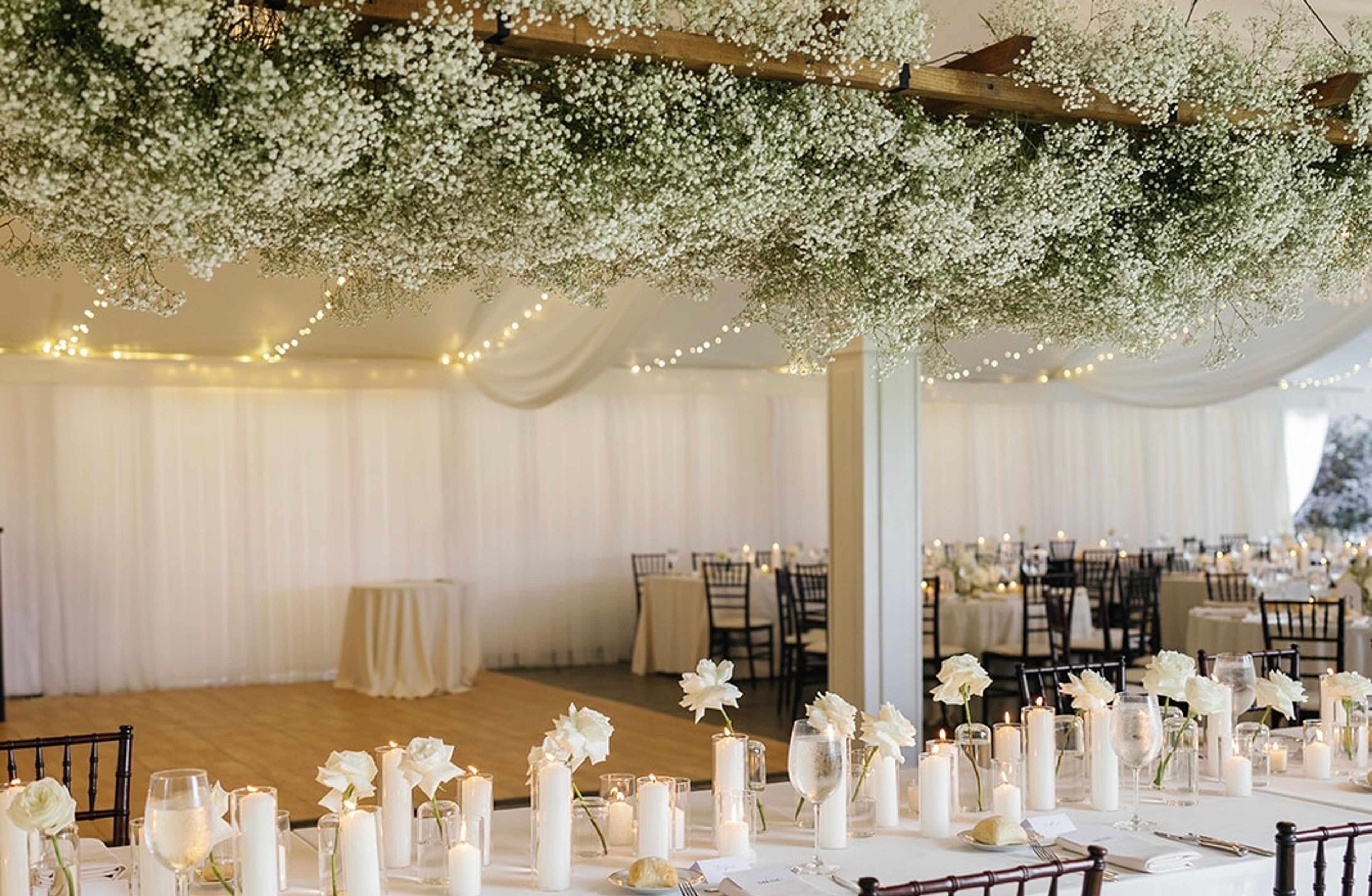 Cover photo of Lexi Palumbo