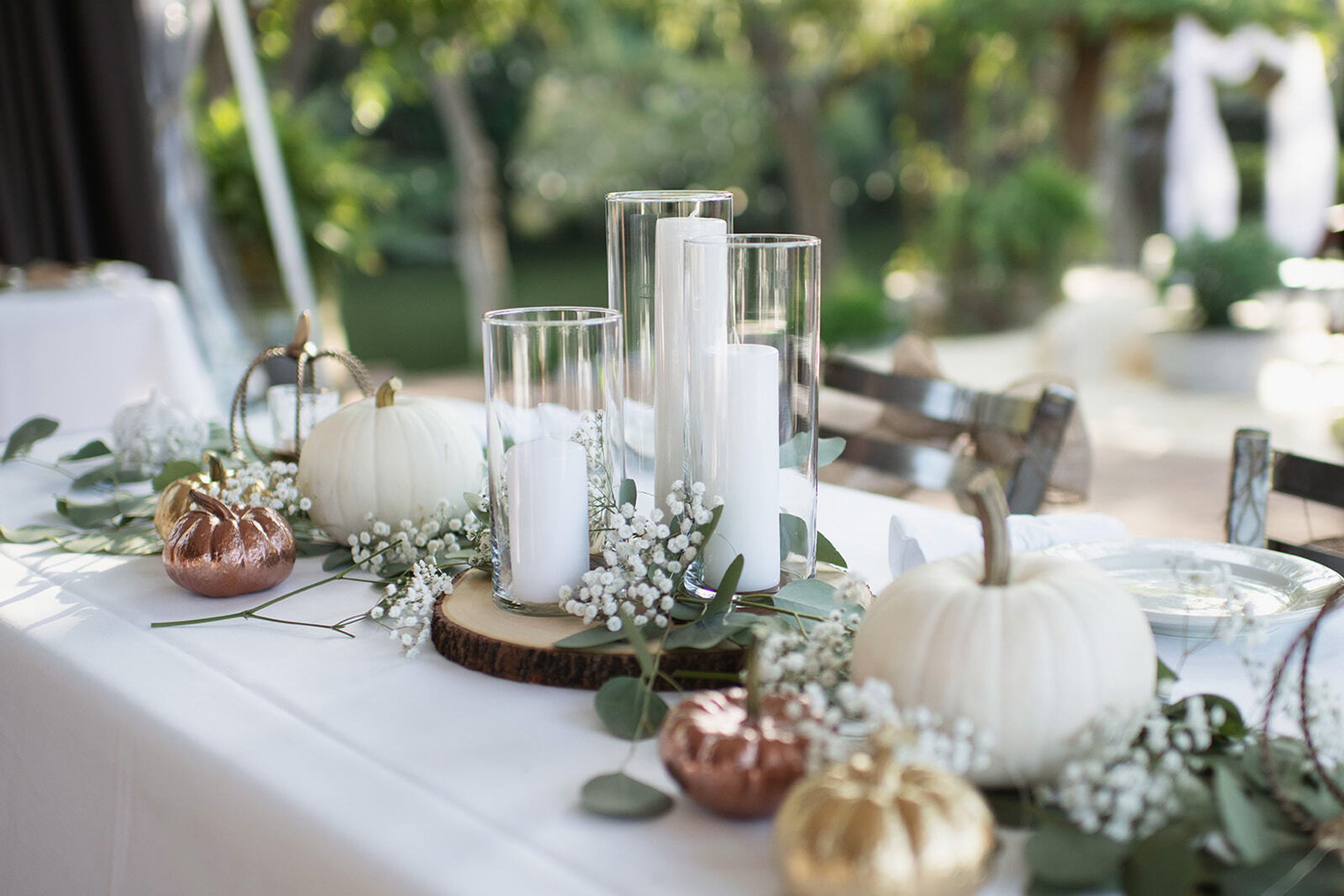 Cover photo of County Line BBQ on the Lake