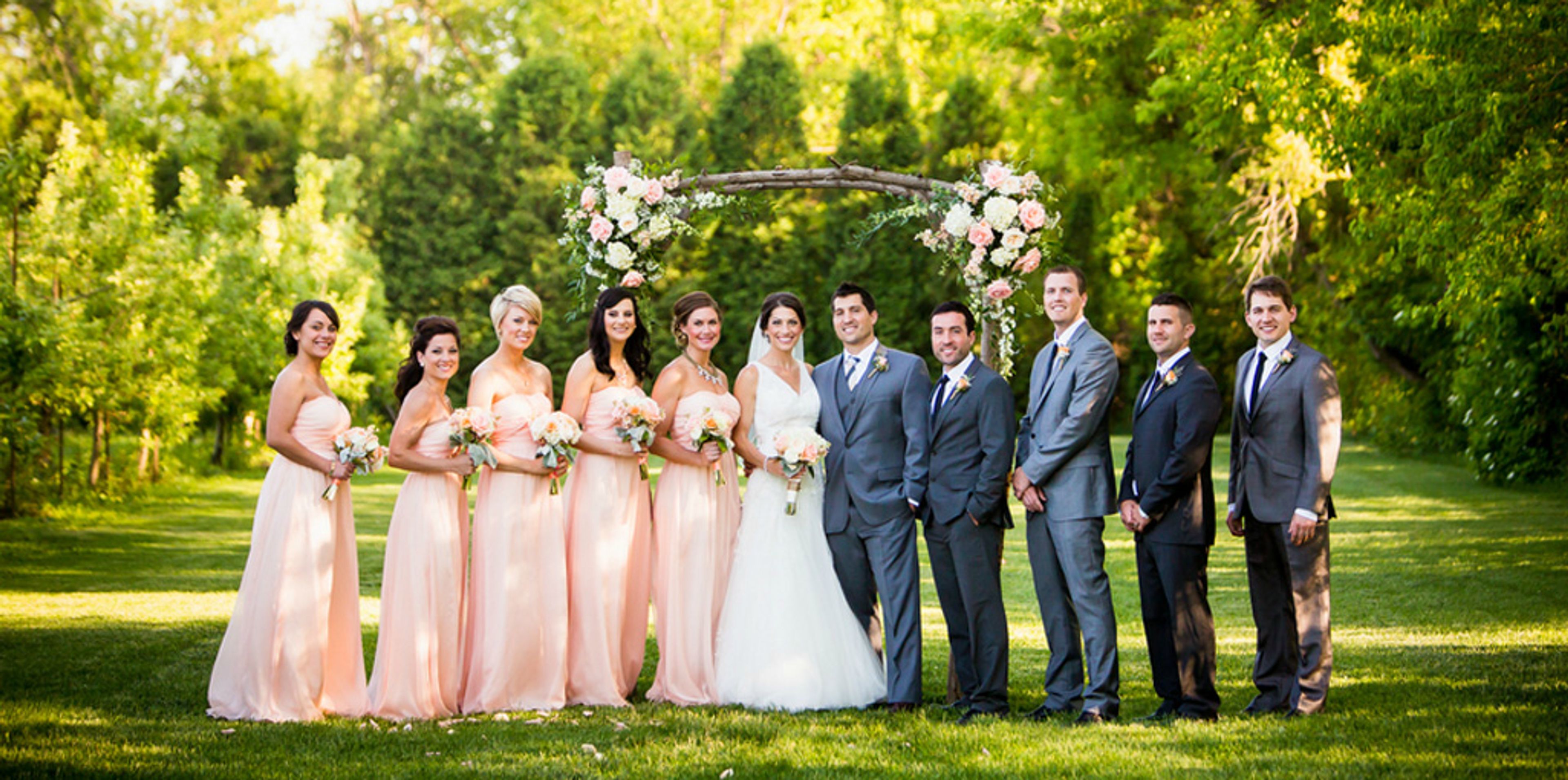 Cover photo of The Bonnie View