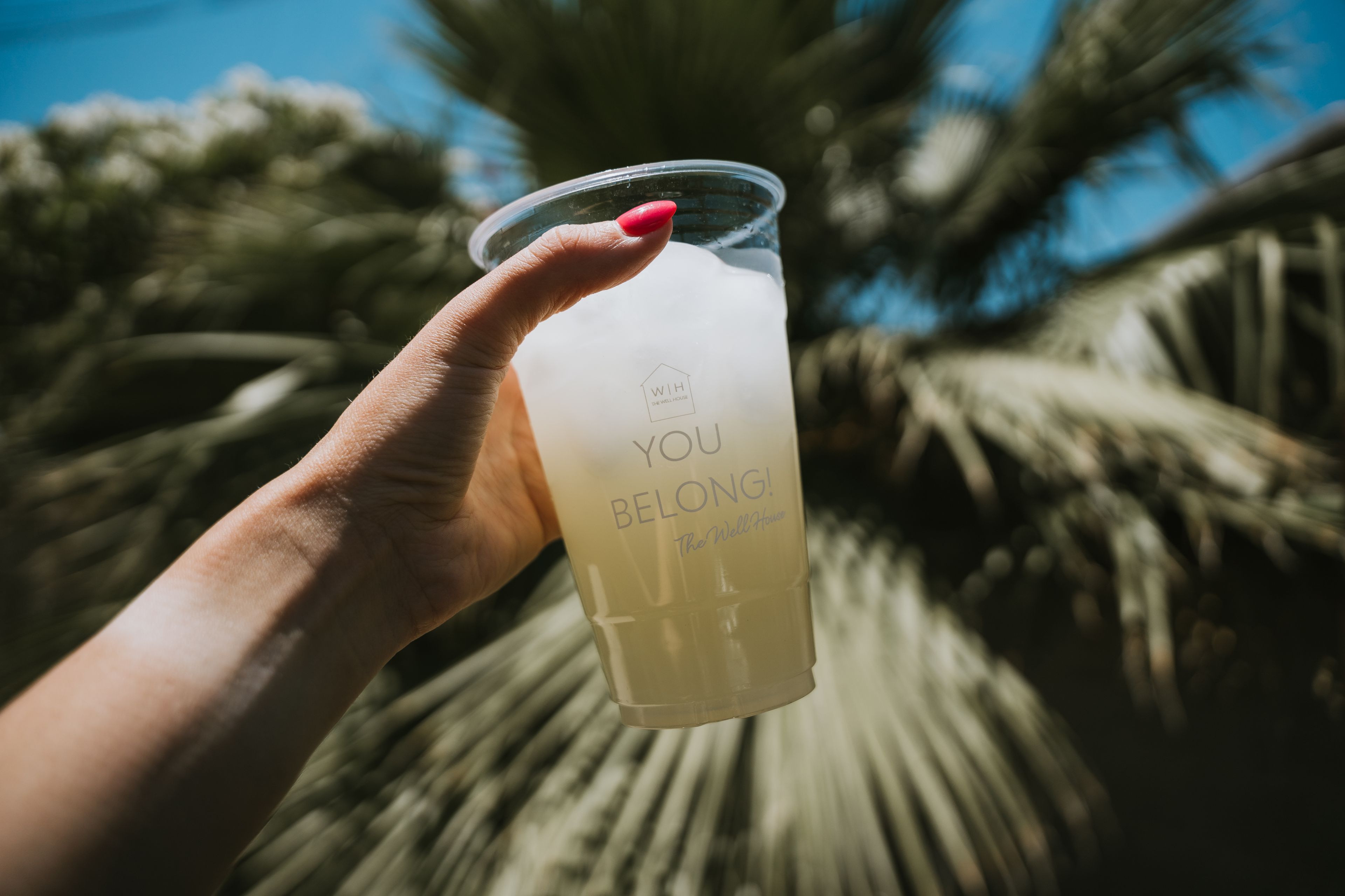 Cover photo of The Well House