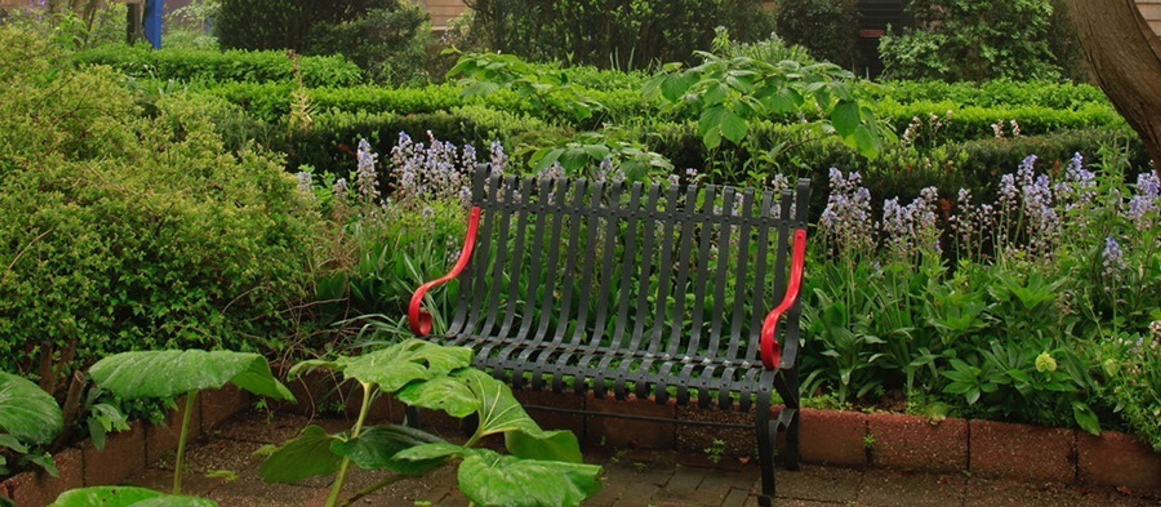 Cover photo of Madoo Conservatory