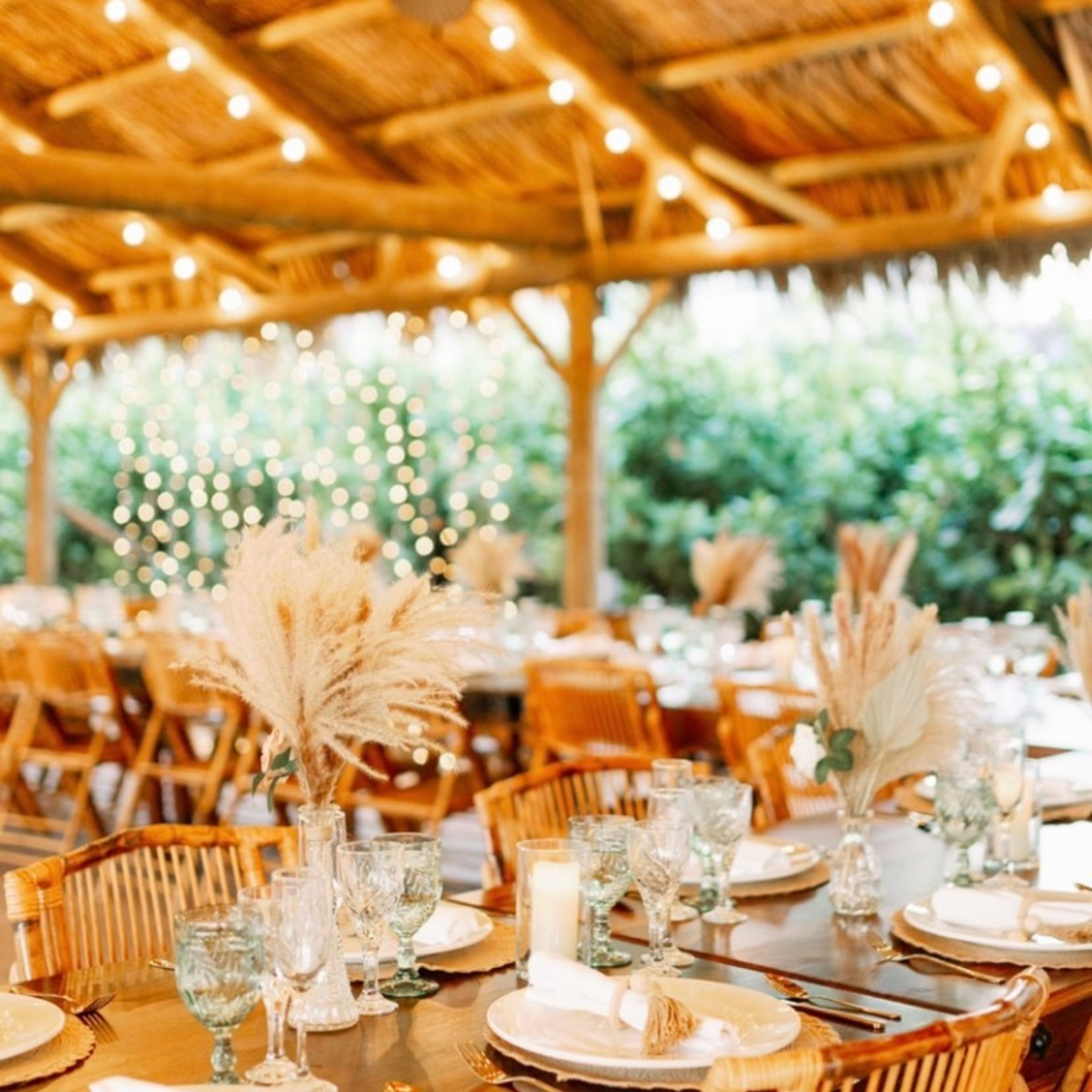 Cover photo of Palm House