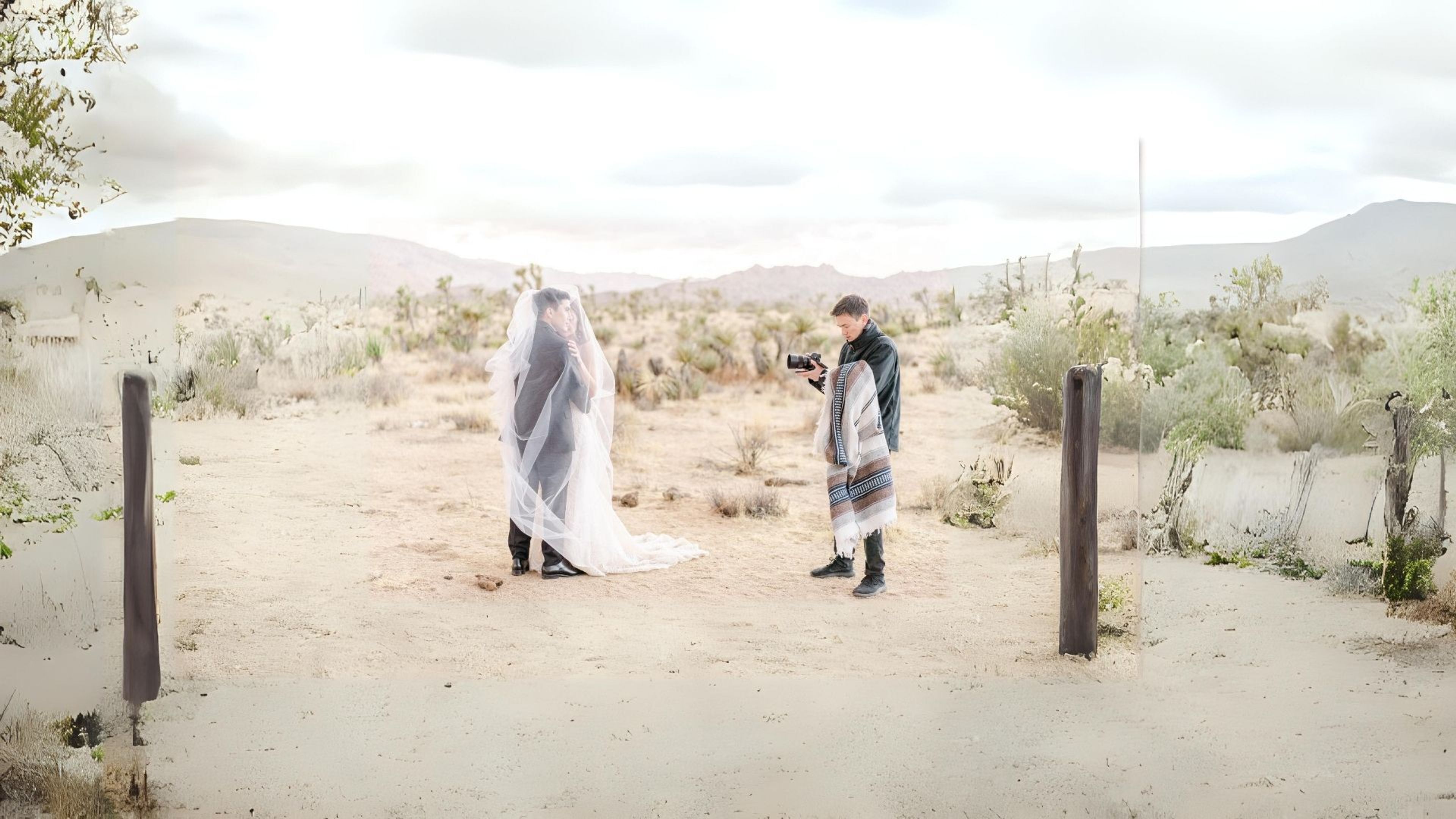 Cover photo of Sam Bennett Media