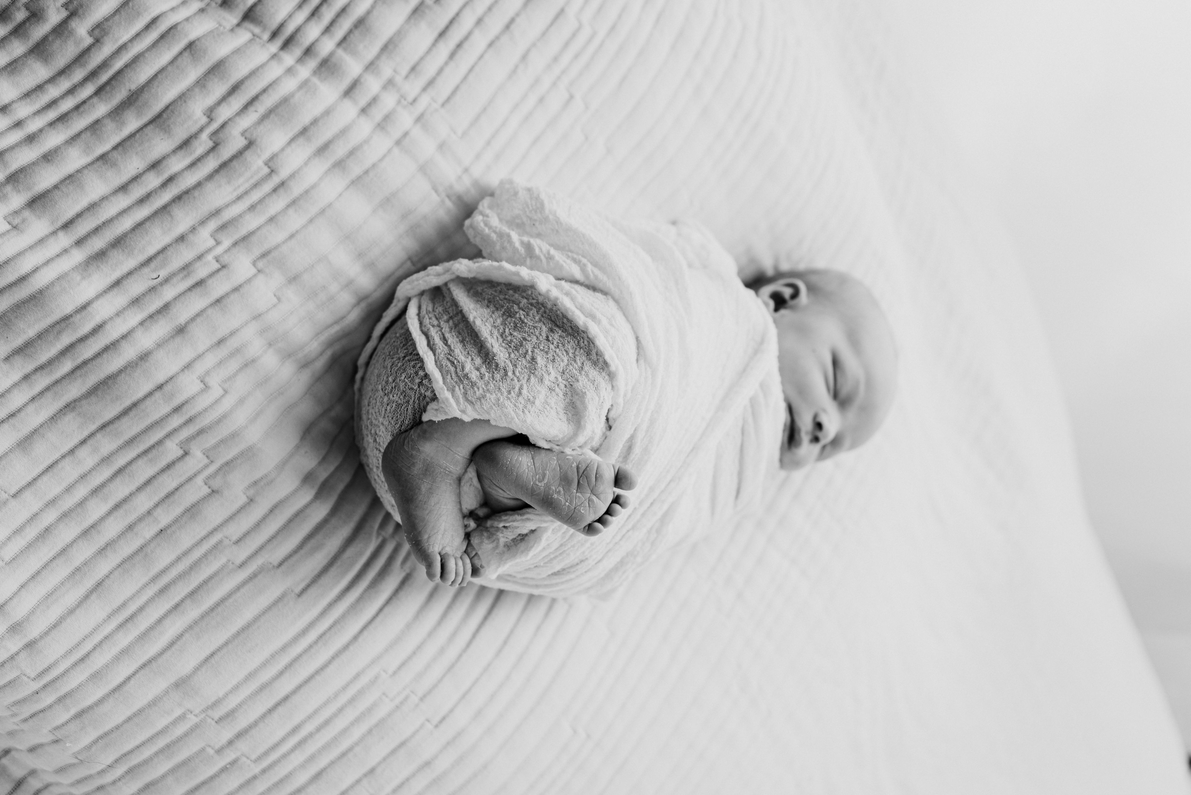 Cover photo of Laura Stansberry Photography