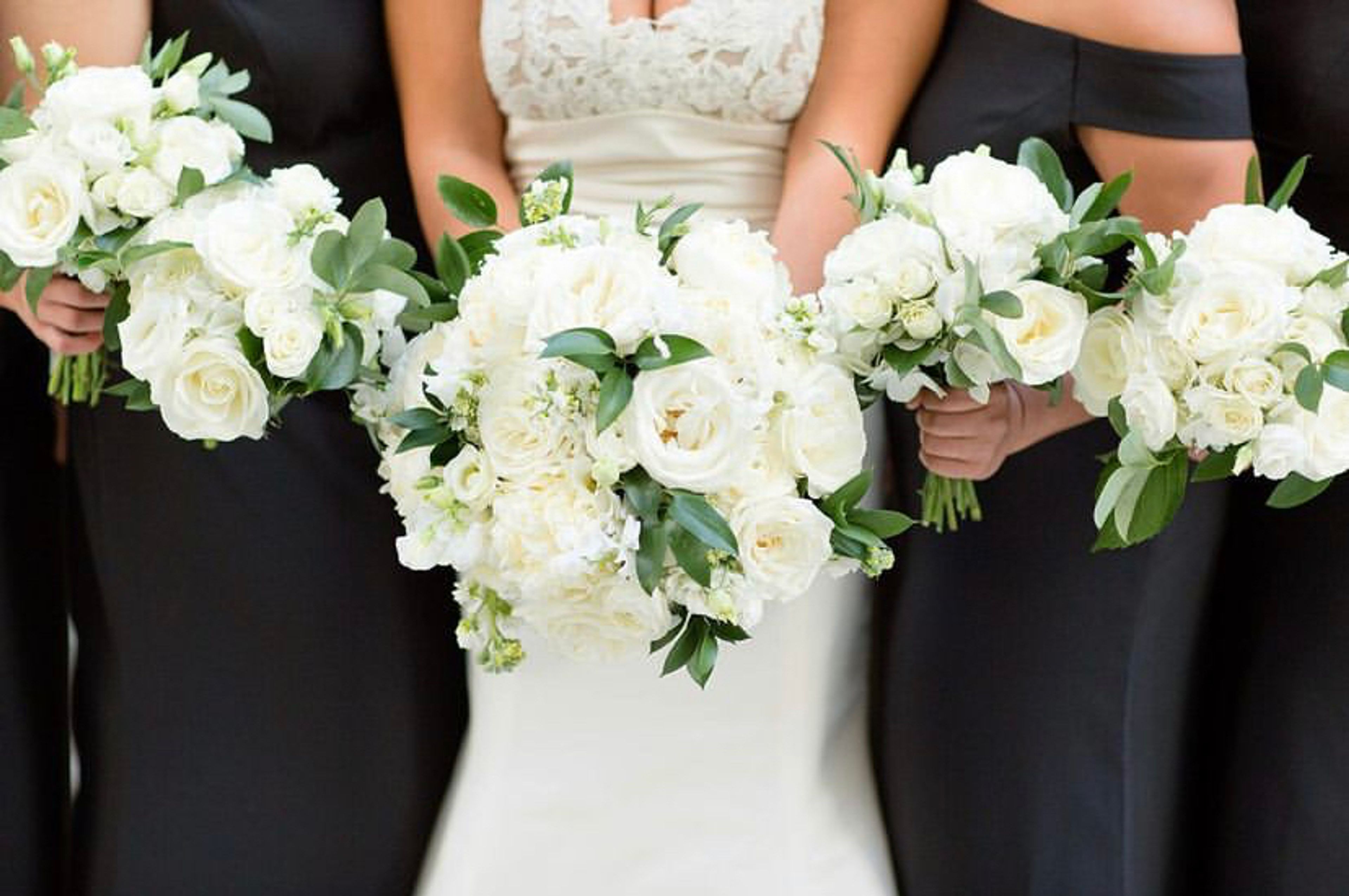 Cover photo of MONARCA BLOOMS TEXAS