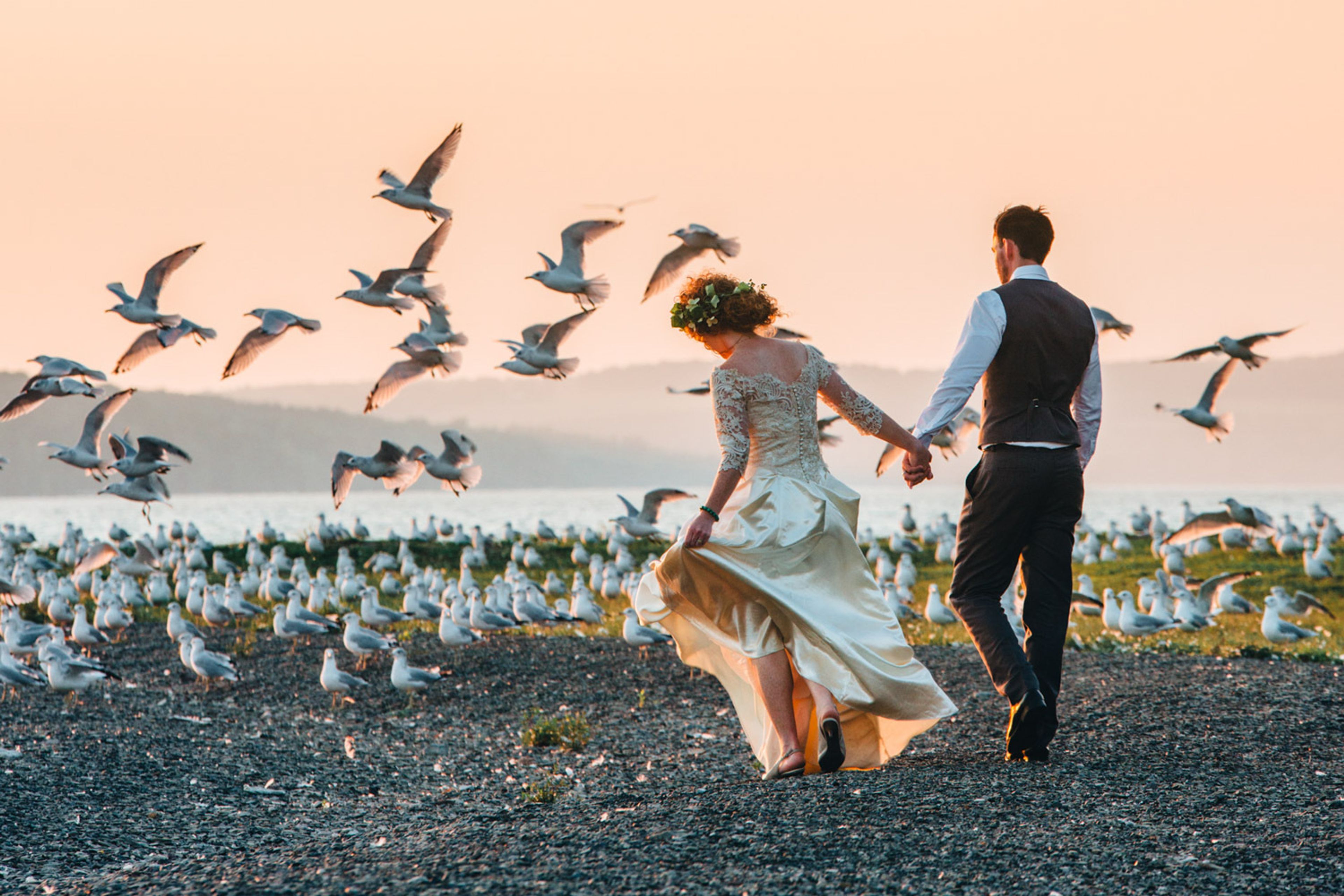 Cover photo of Novella Photography