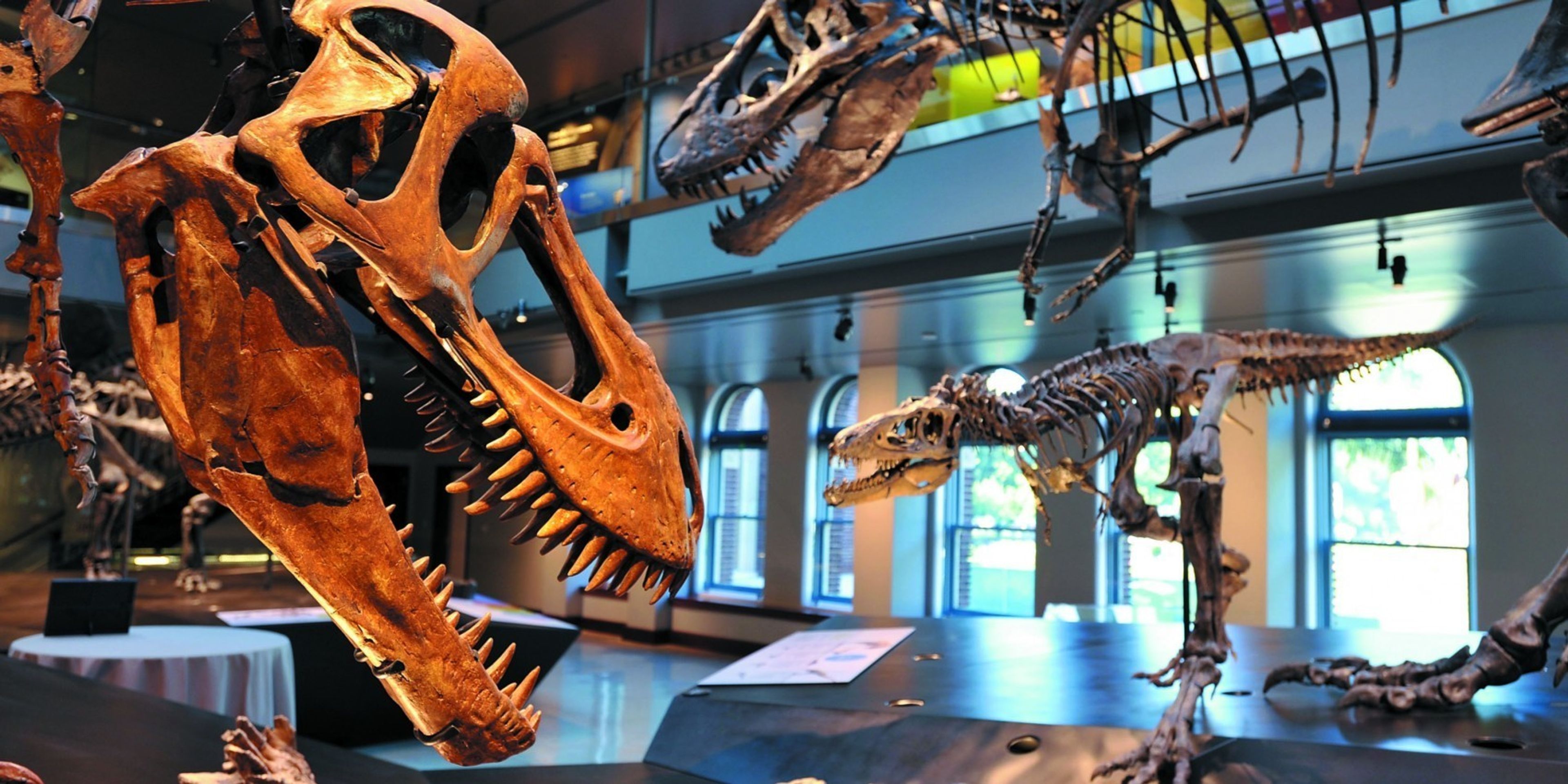 Cover photo of National History Museum Los Angeles