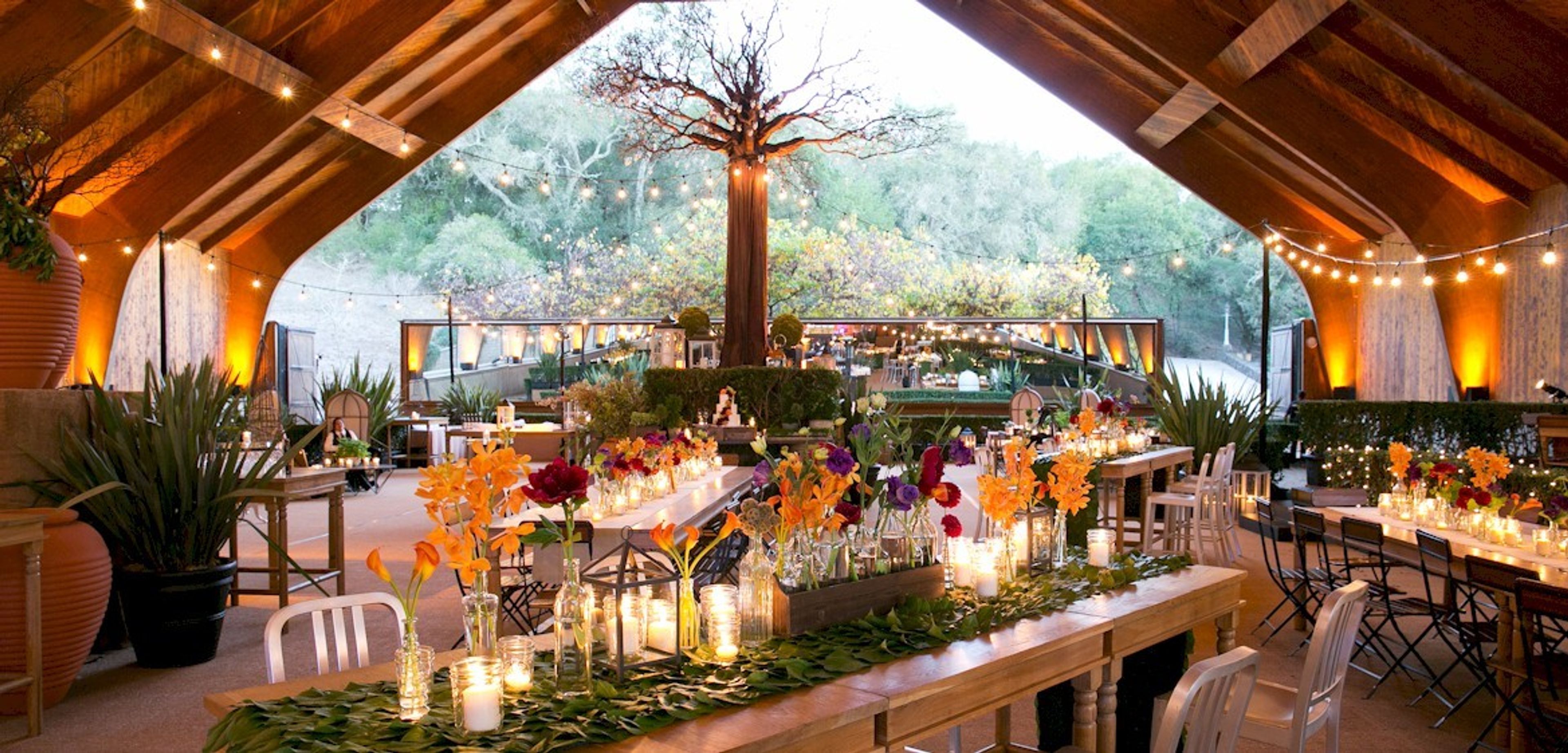 Cover photo of Mandy Scott Events