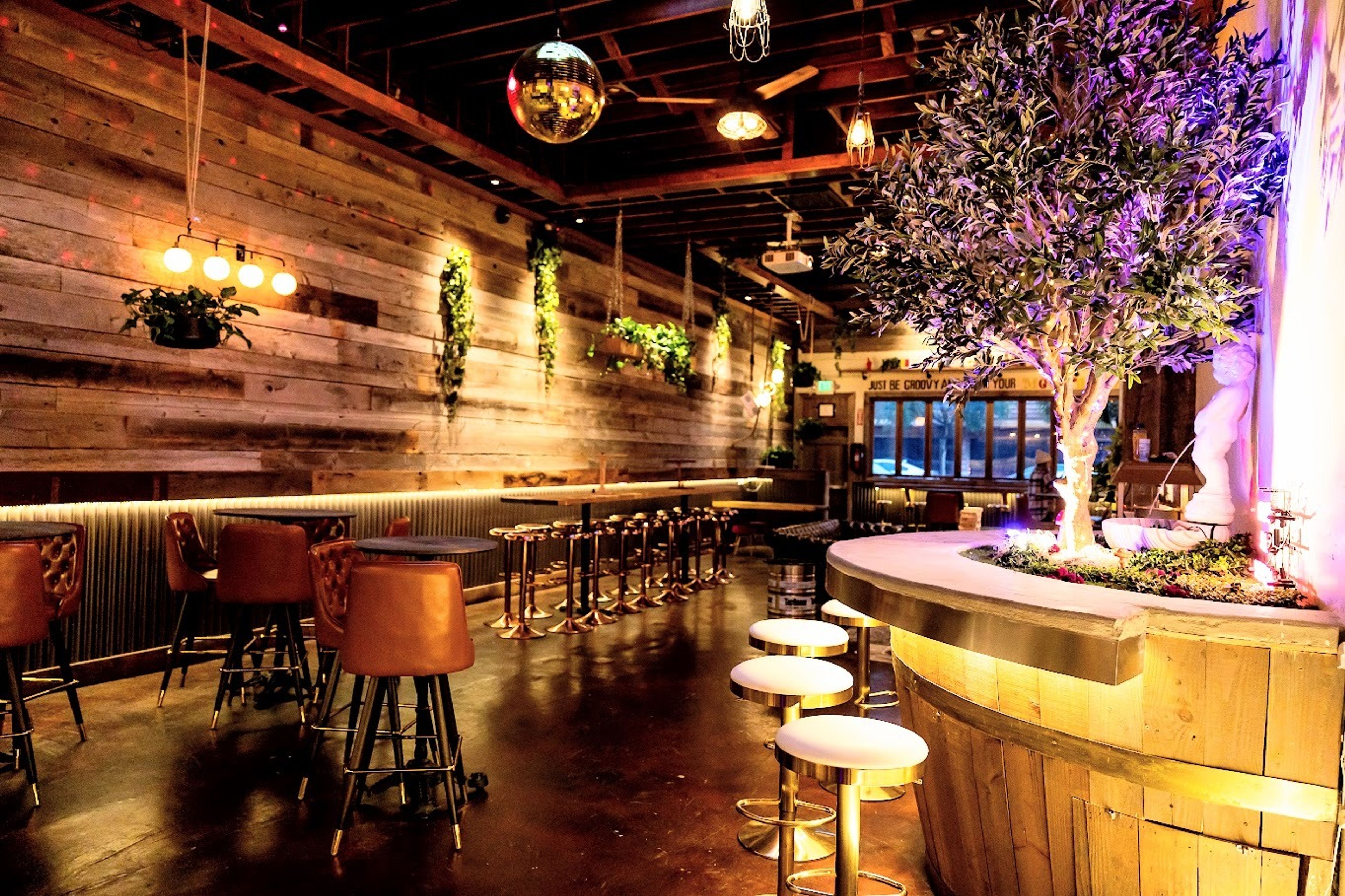 Cover photo of The Collective