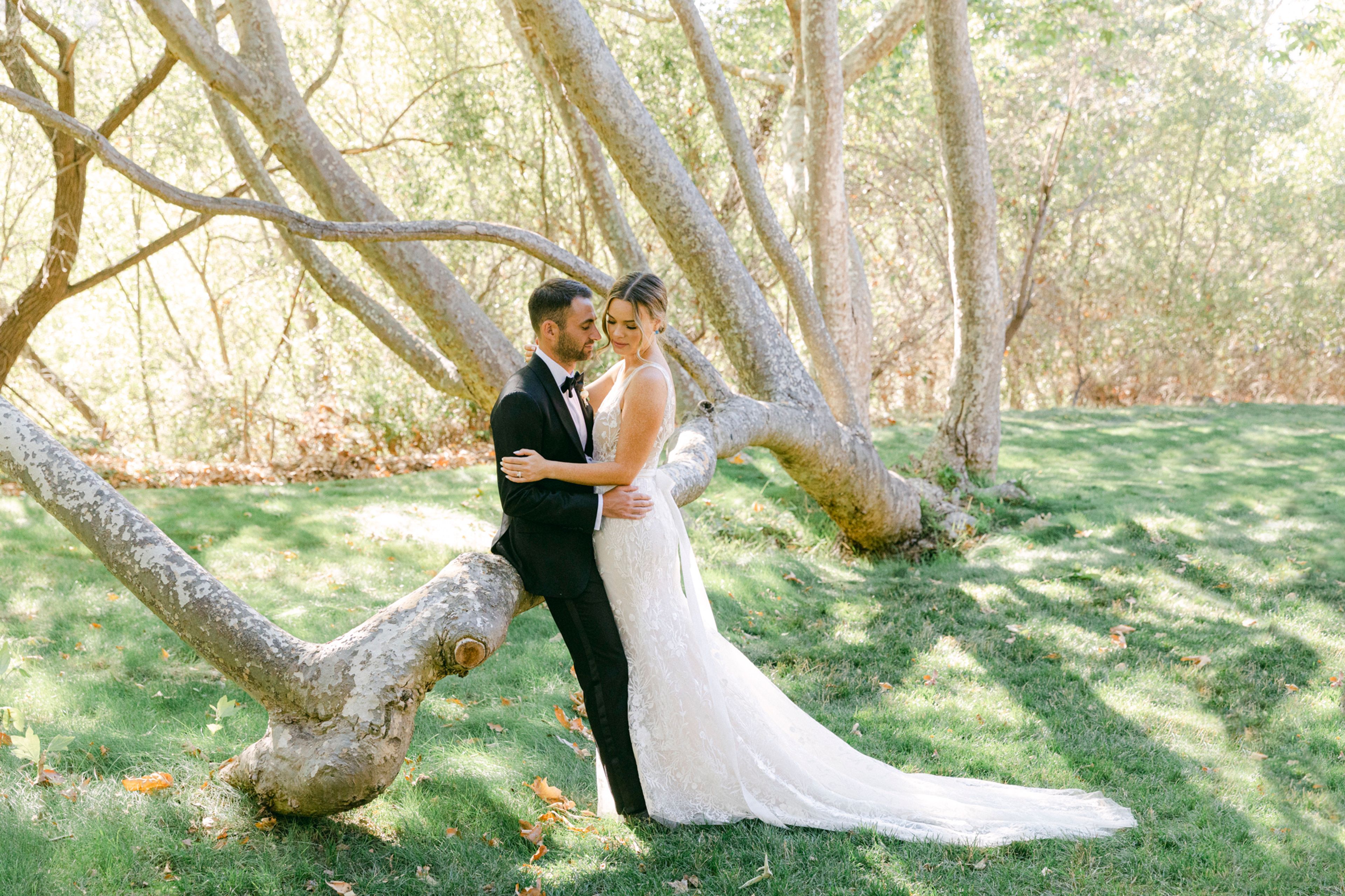 Cover photo of Paulina Perrucci Photography