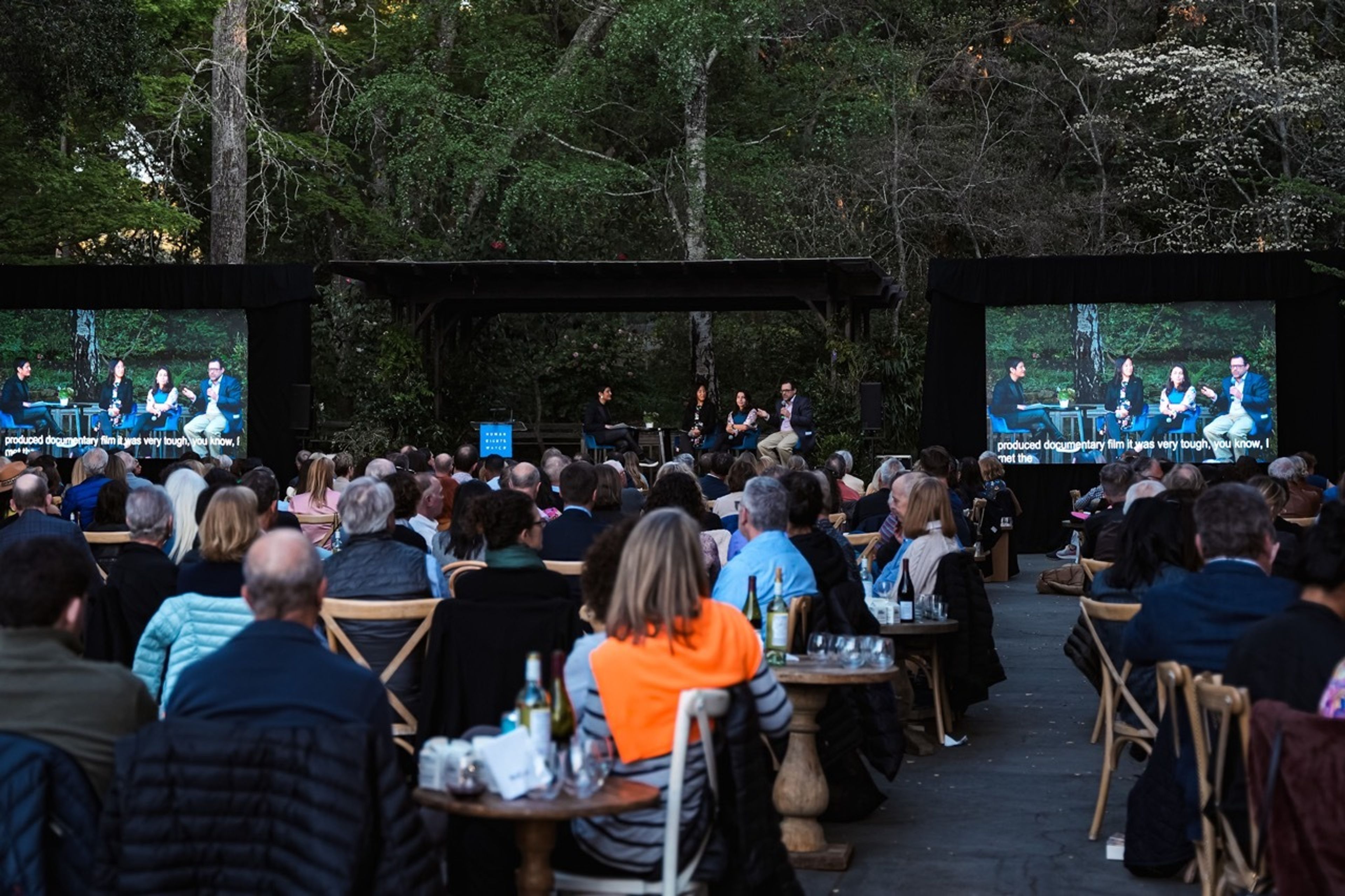 Cover photo of Owl Vision