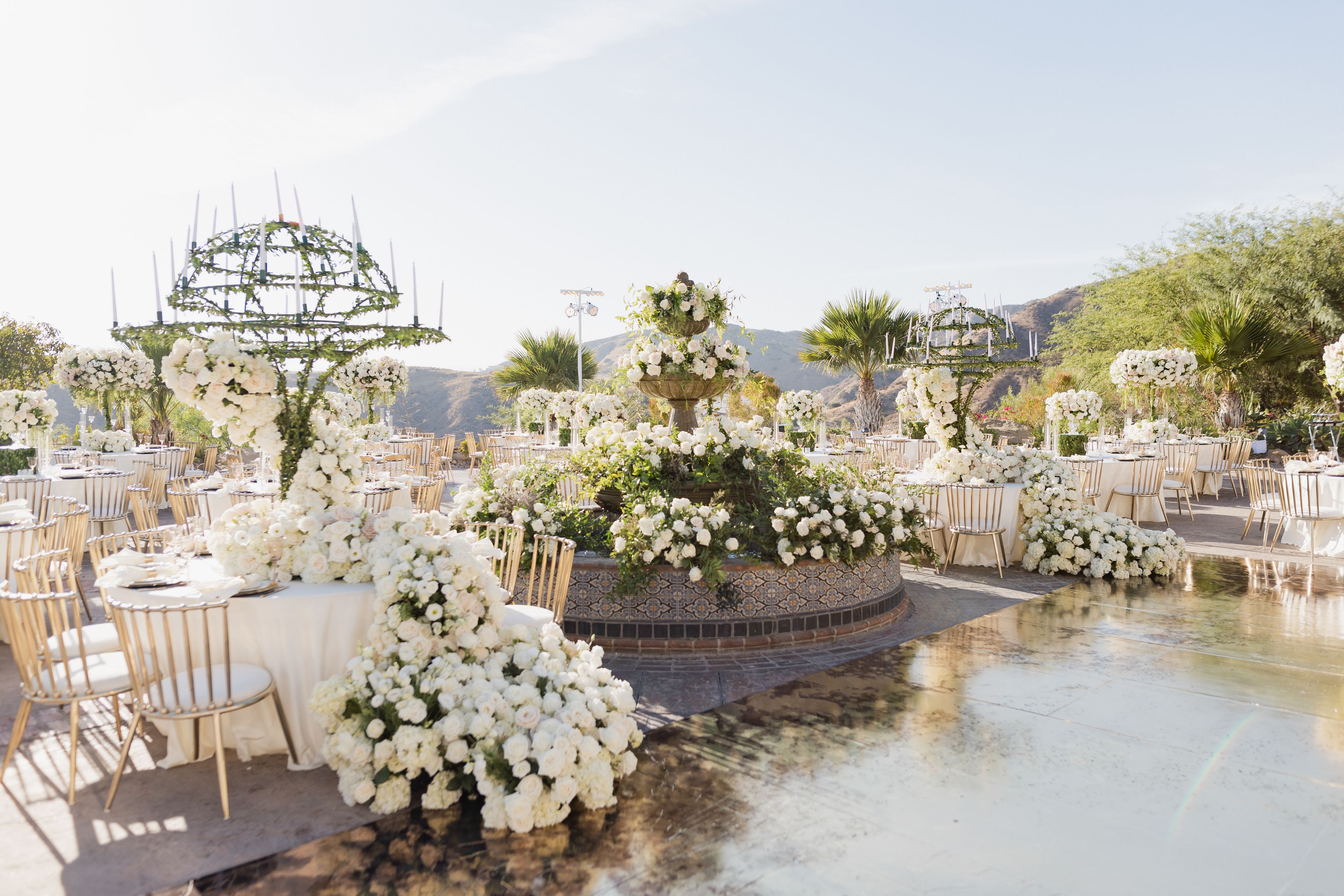 Cover photo of Butterfly Floral & Event Design