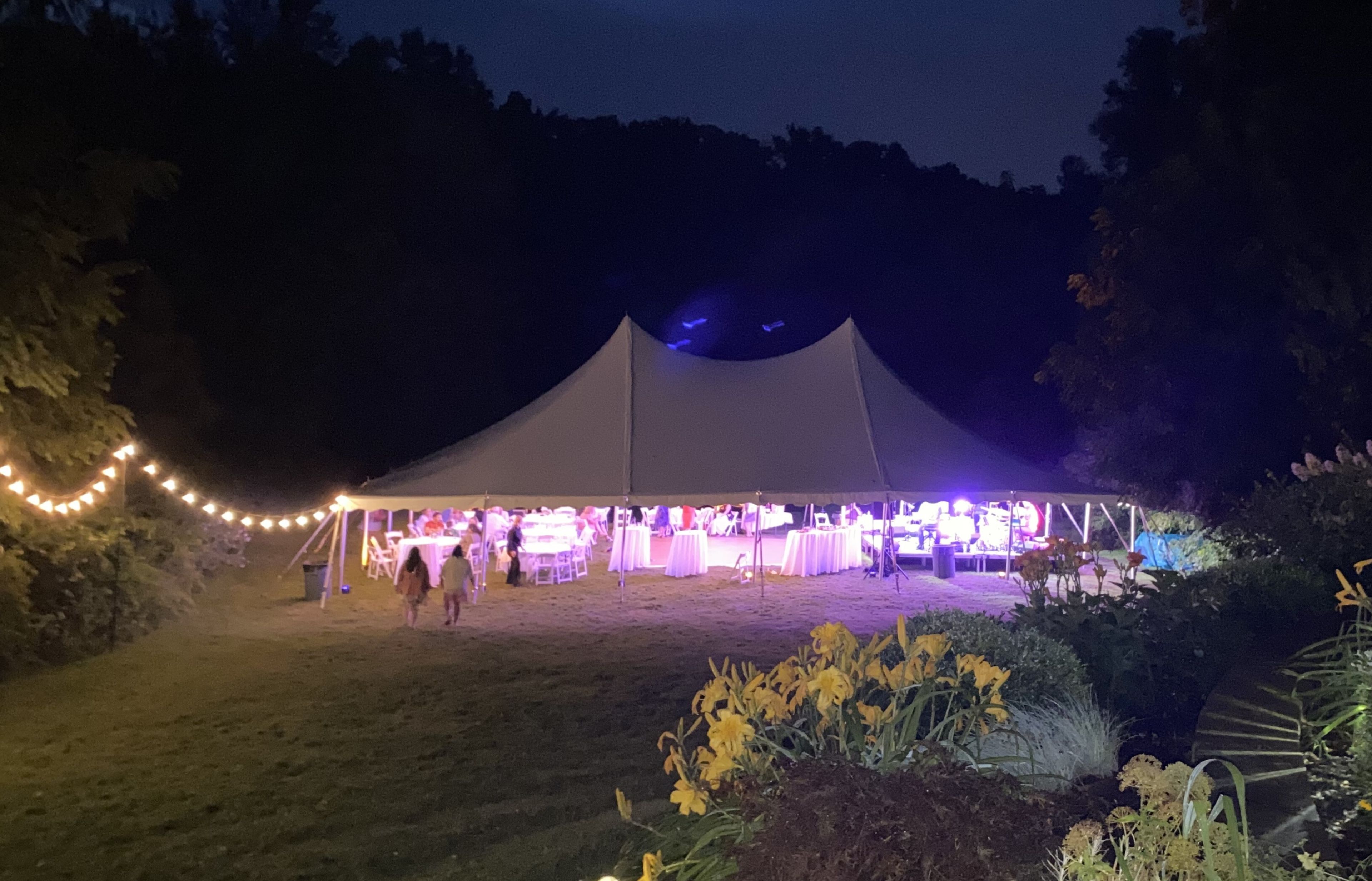 Cover photo of Affordable Party Tent Rentals