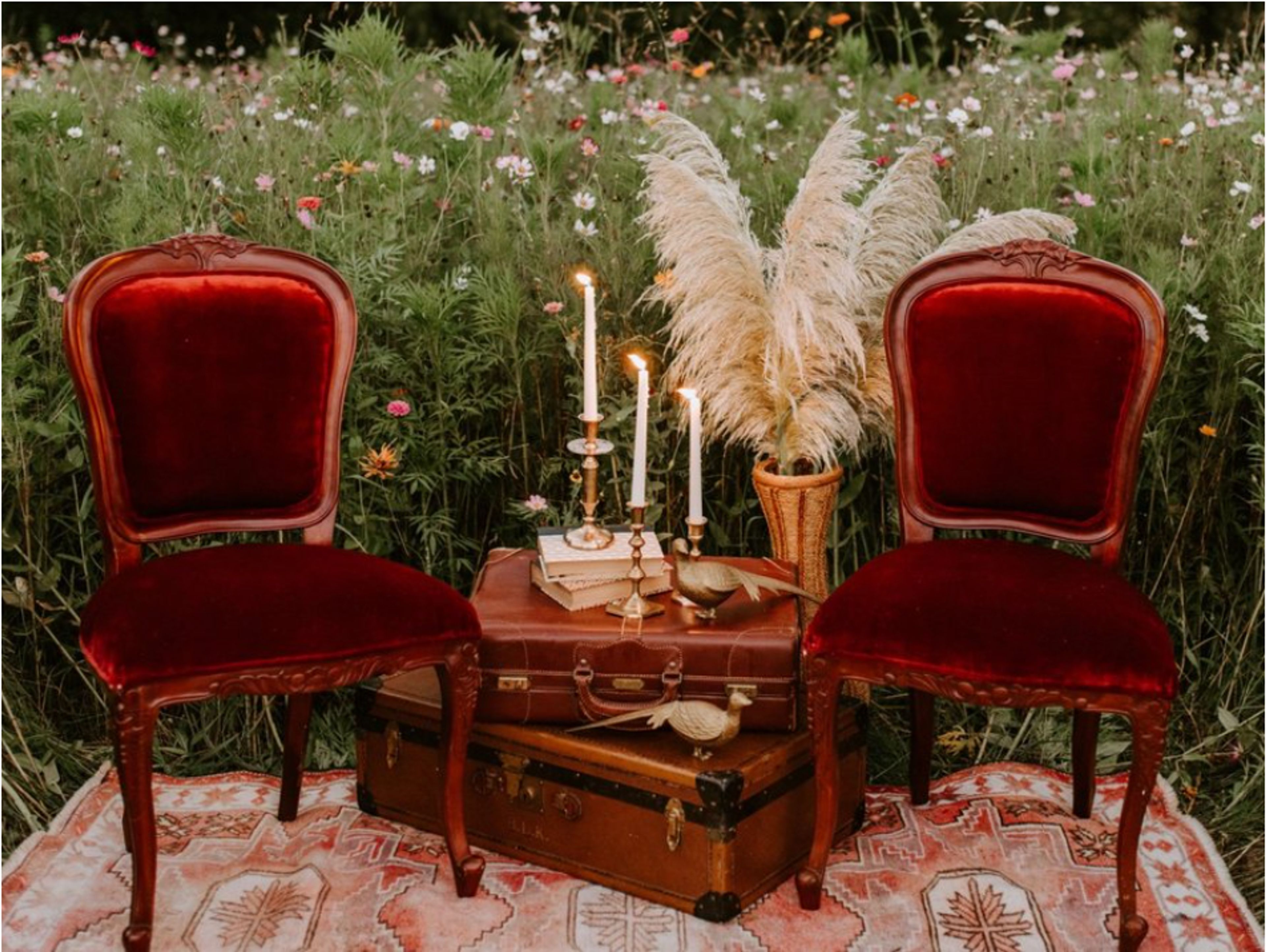 Cover photo of The White Pheasant