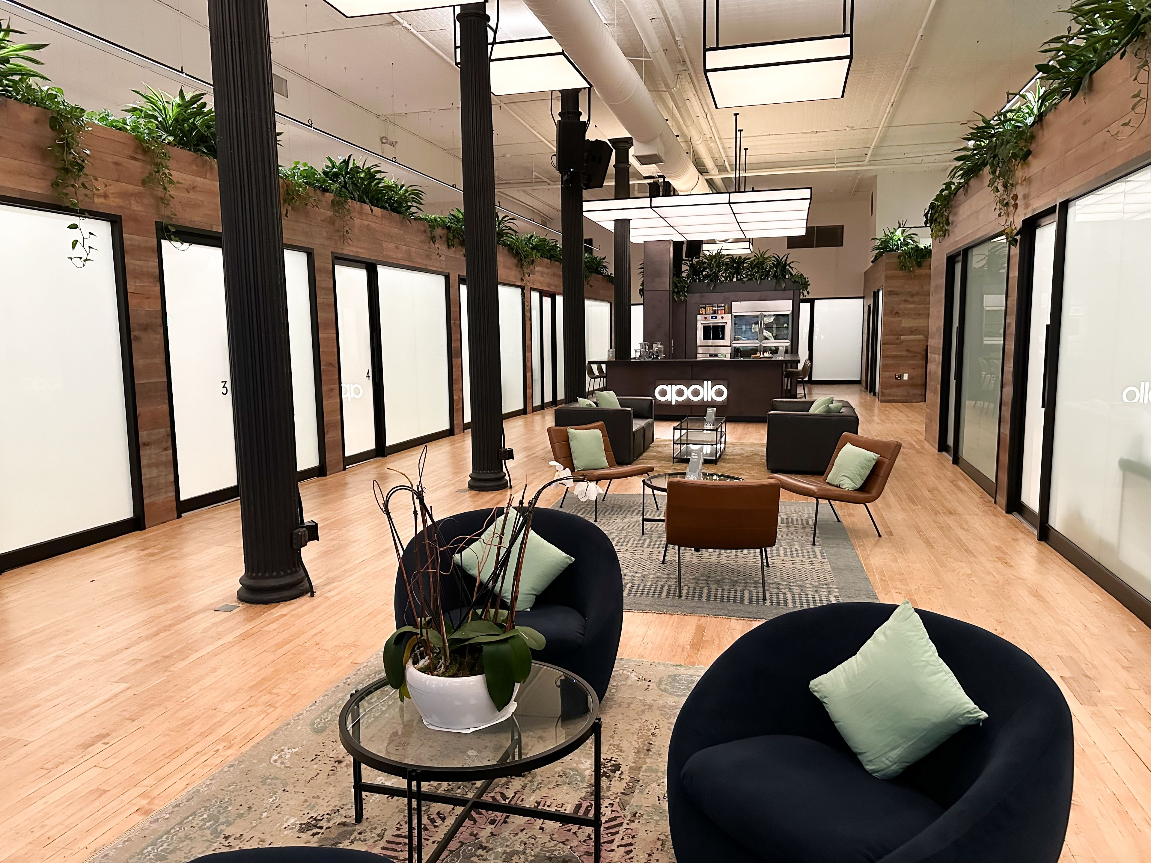 Cover photo of Apollo 360 Health