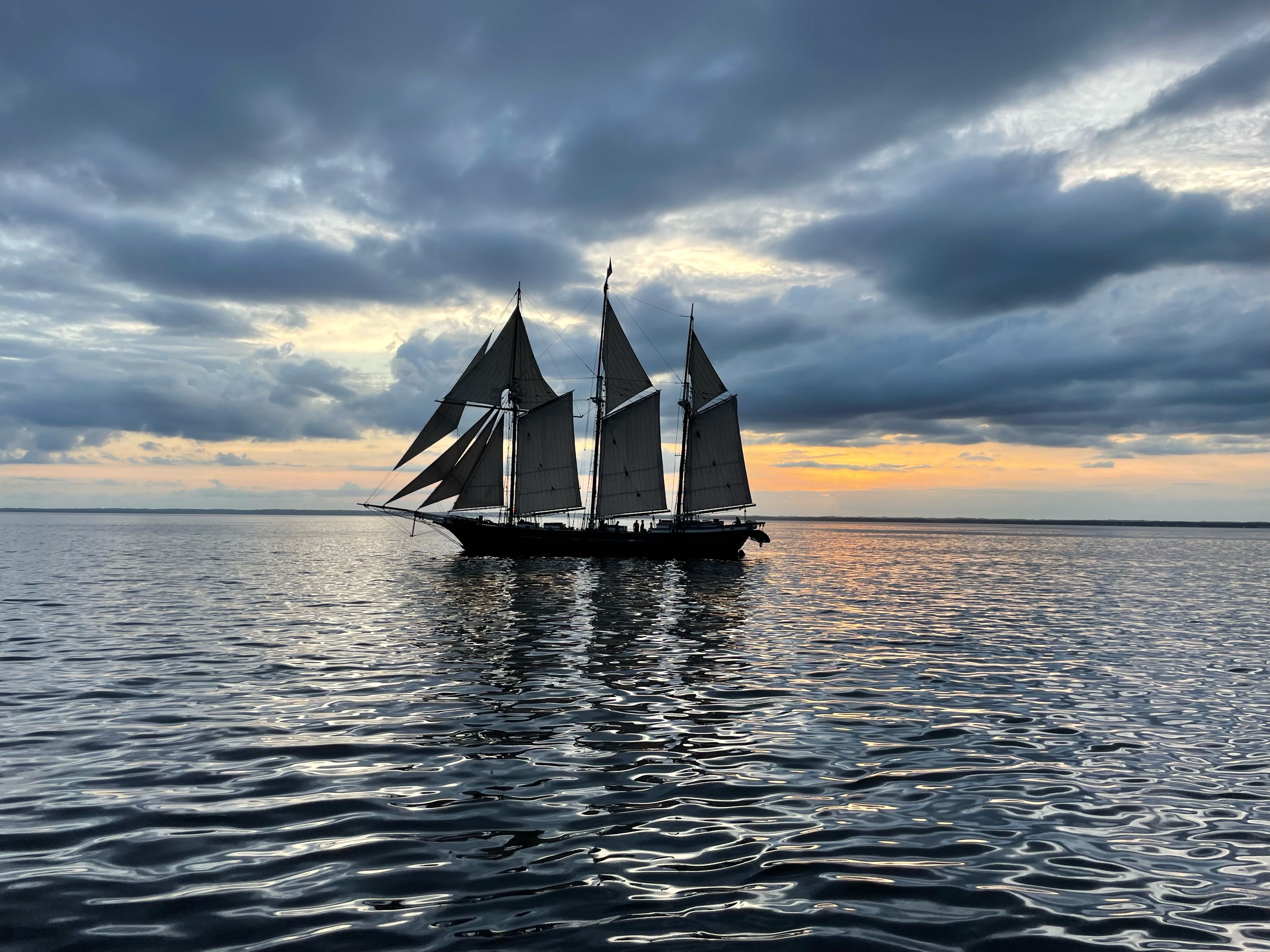 Cover photo of World Ocean School