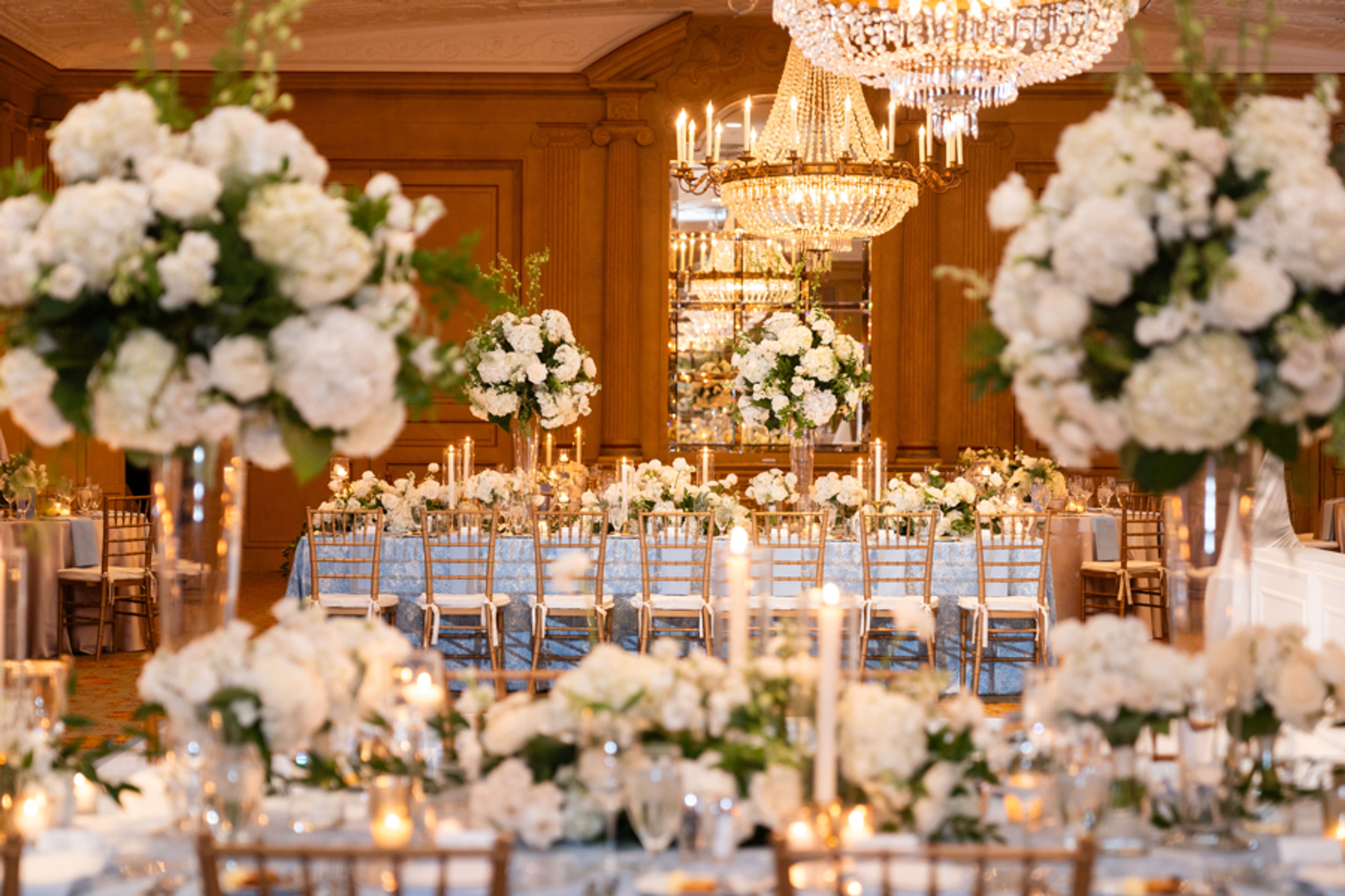 Cover photo of Plan Revelry