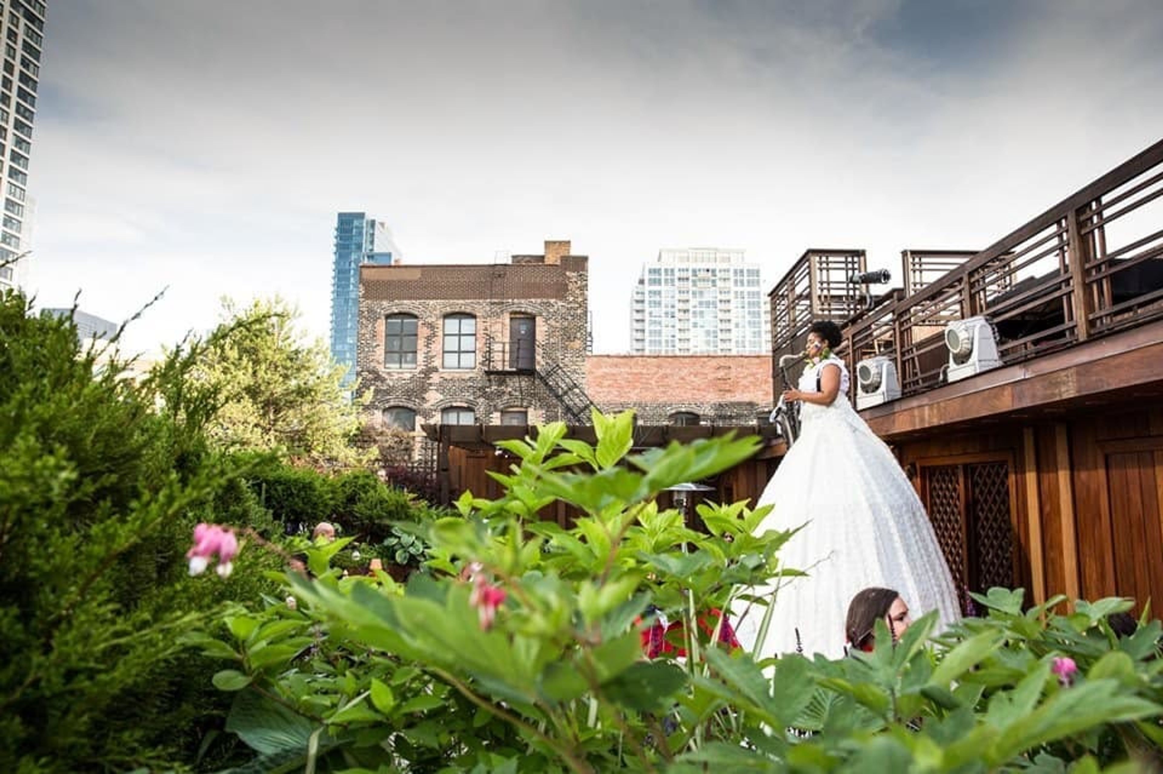 Cover photo of Cabinet of Curiosity