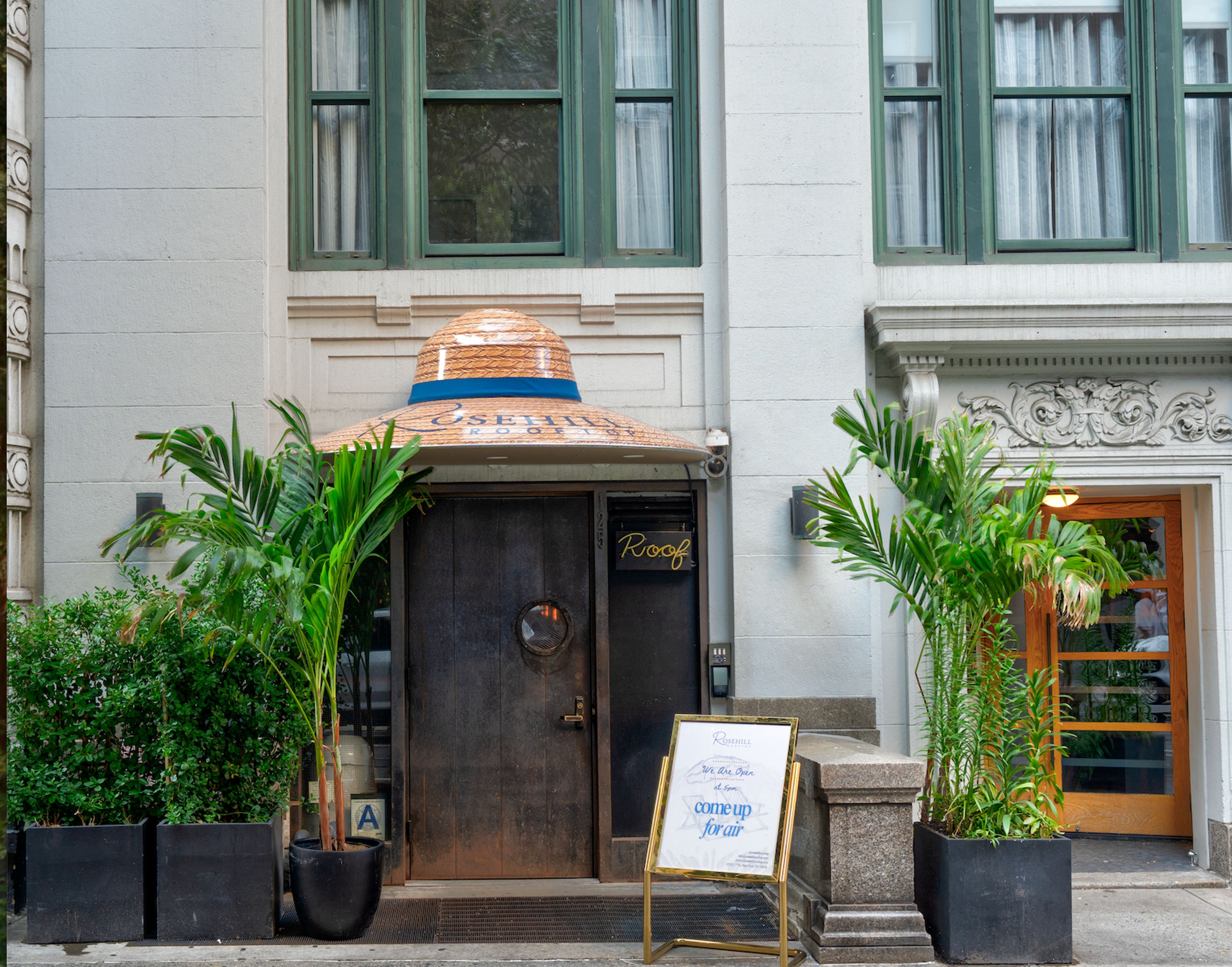 Cover photo of Rosehill Rooftop