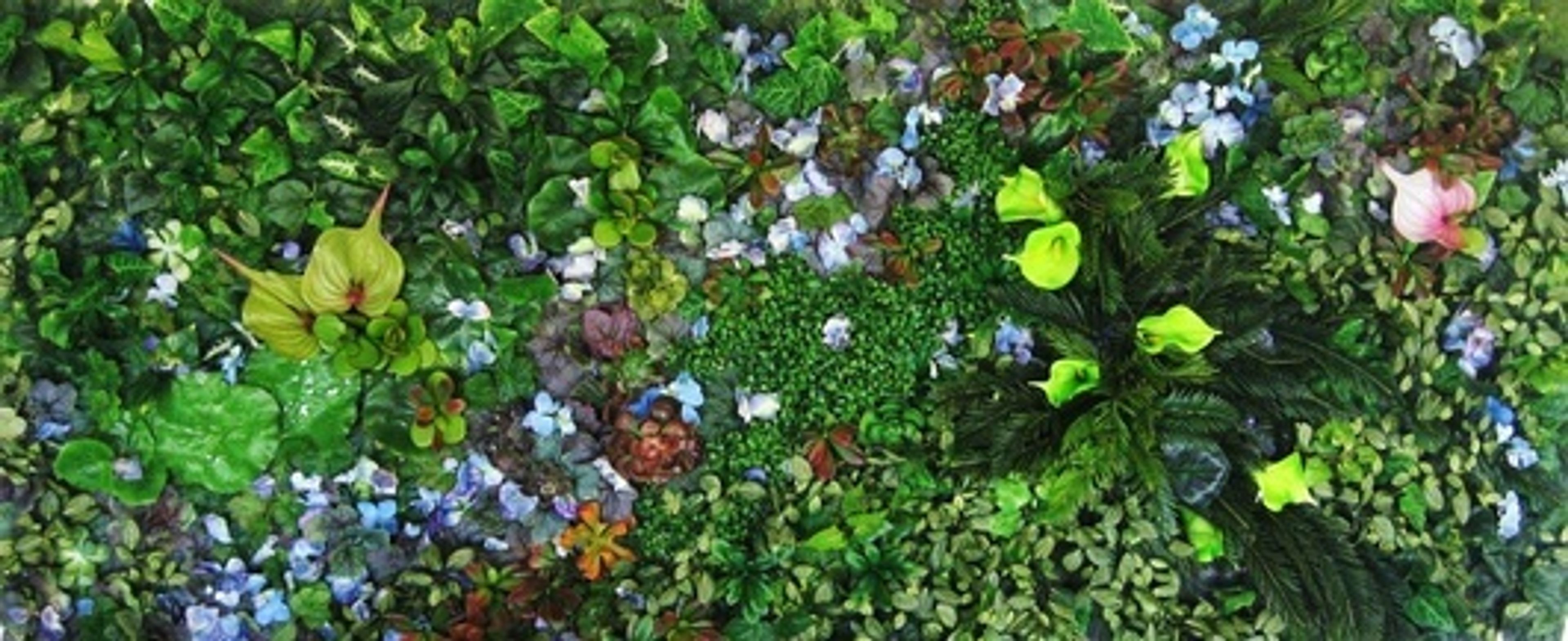 Cover photo of Flora Grand