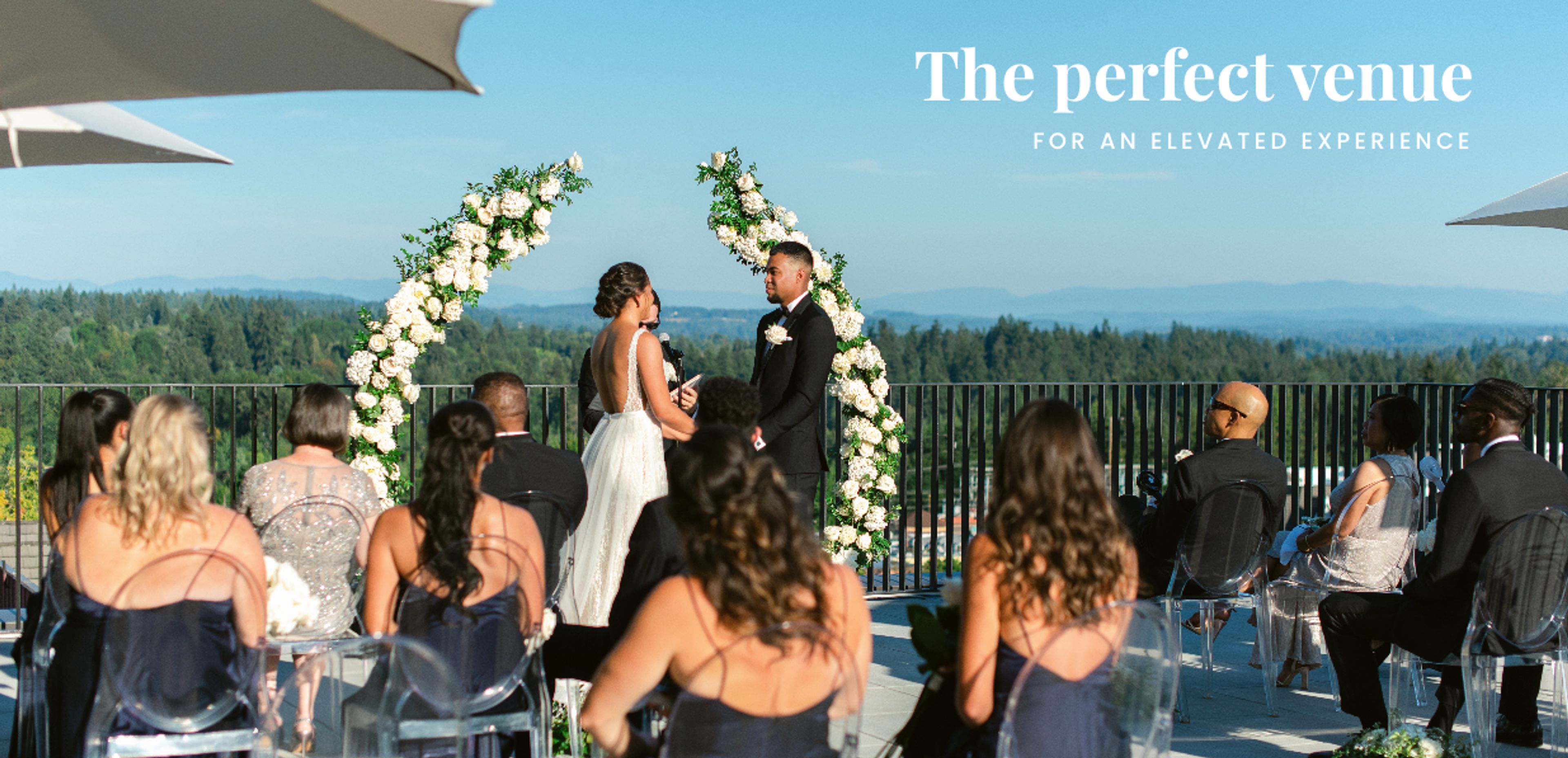 Cover photo of Ironlight