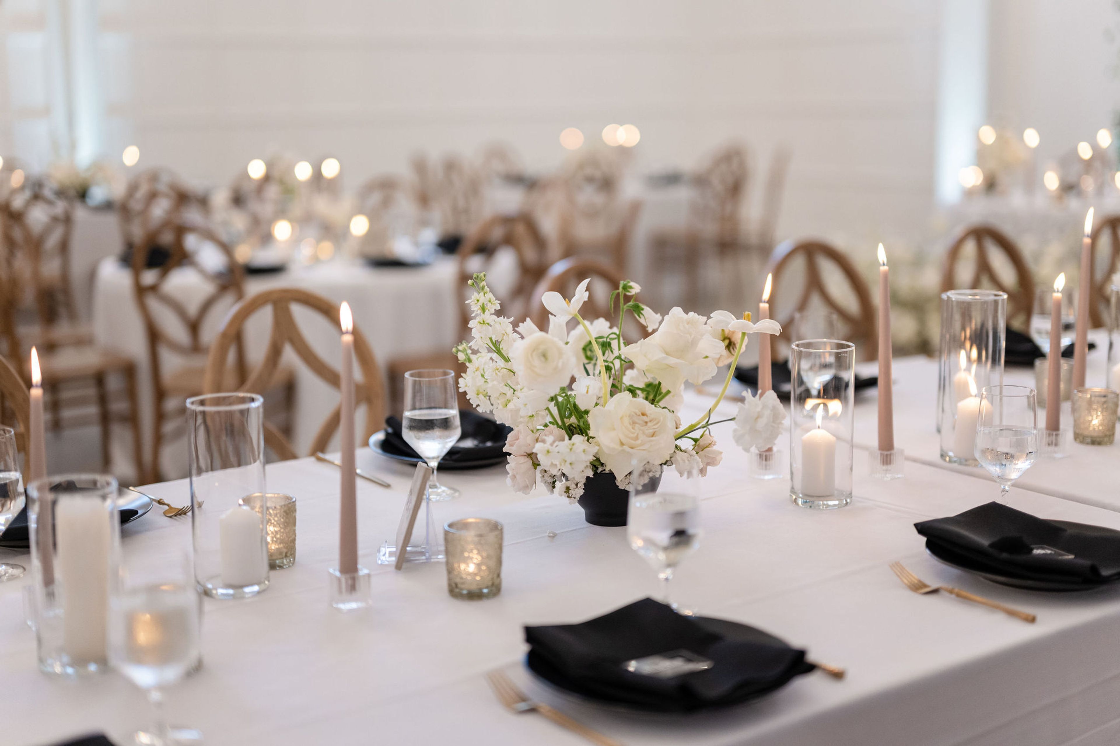 Cover photo of Jaclyn Auletta Photography