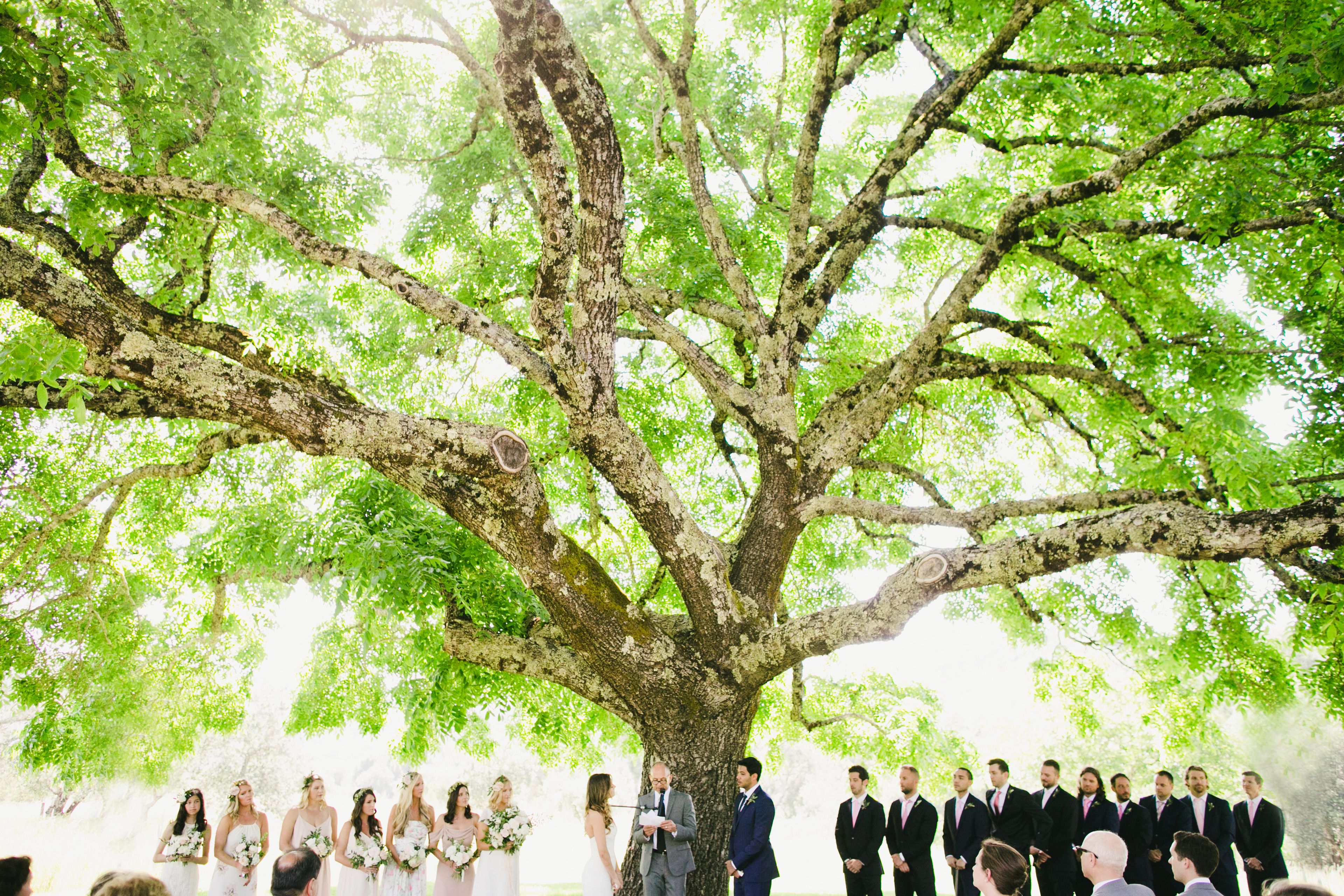 Cover photo of Triple S Ranch Napa