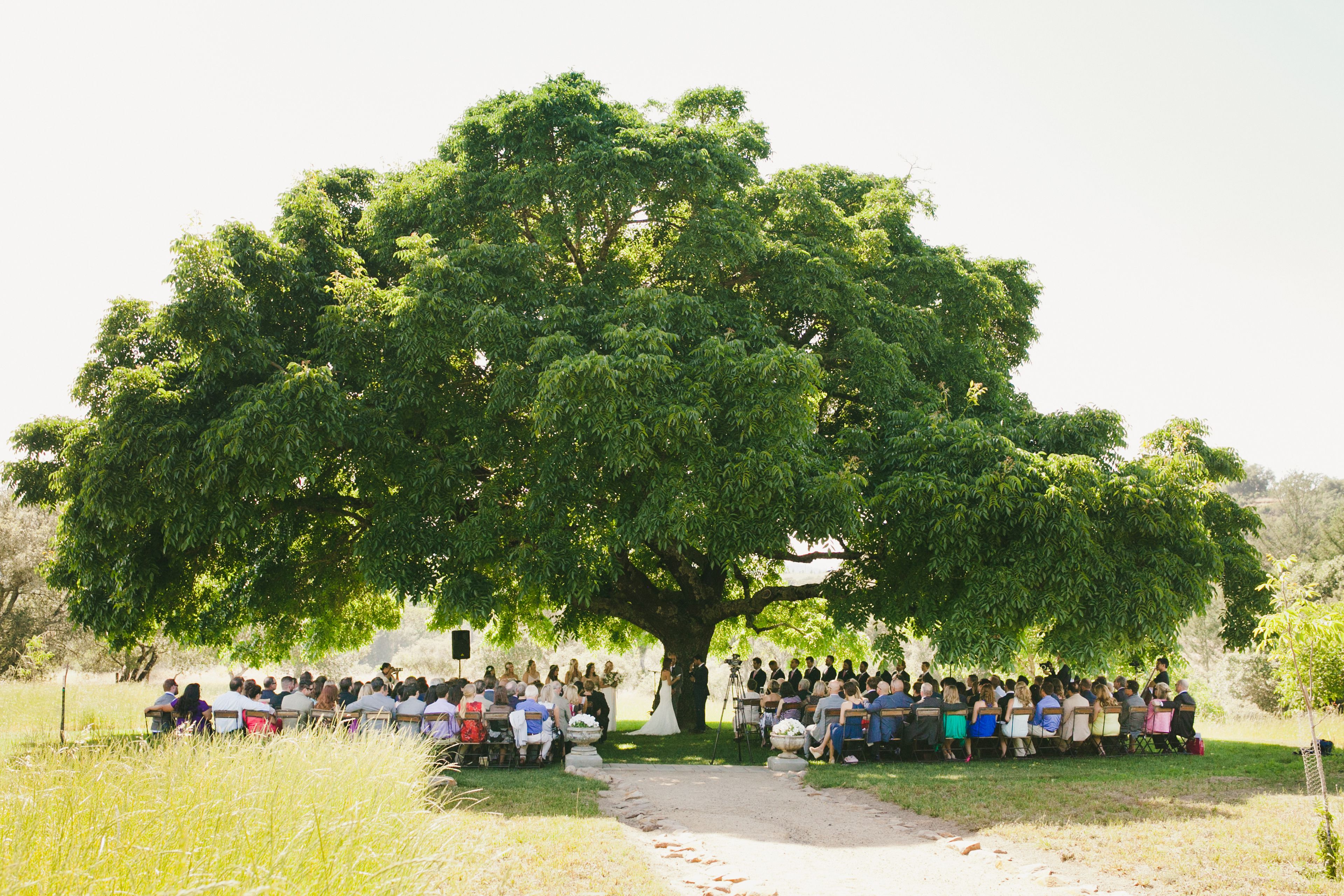 Cover photo of Triple S Ranch Napa