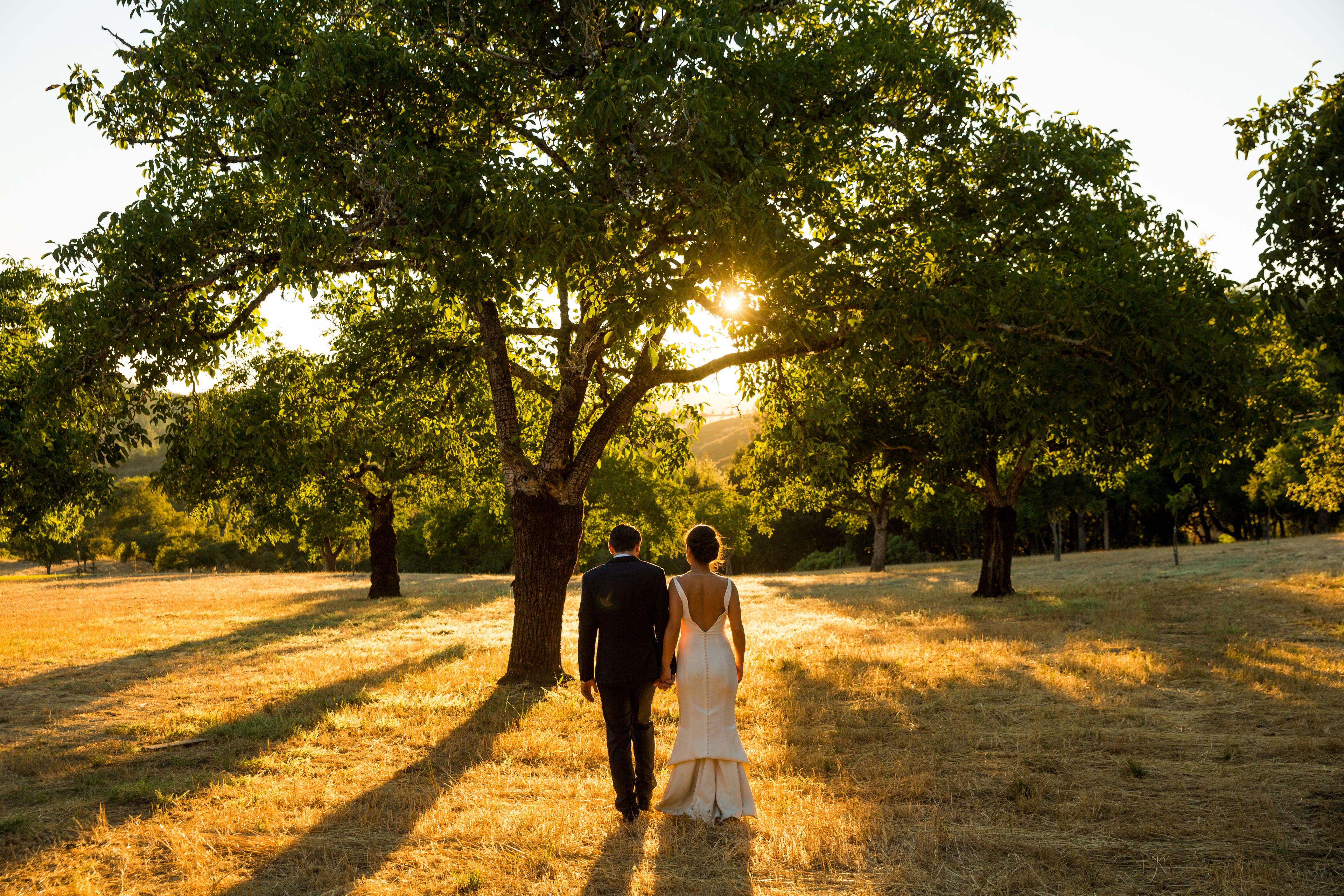 Cover photo of Triple S Ranch Napa