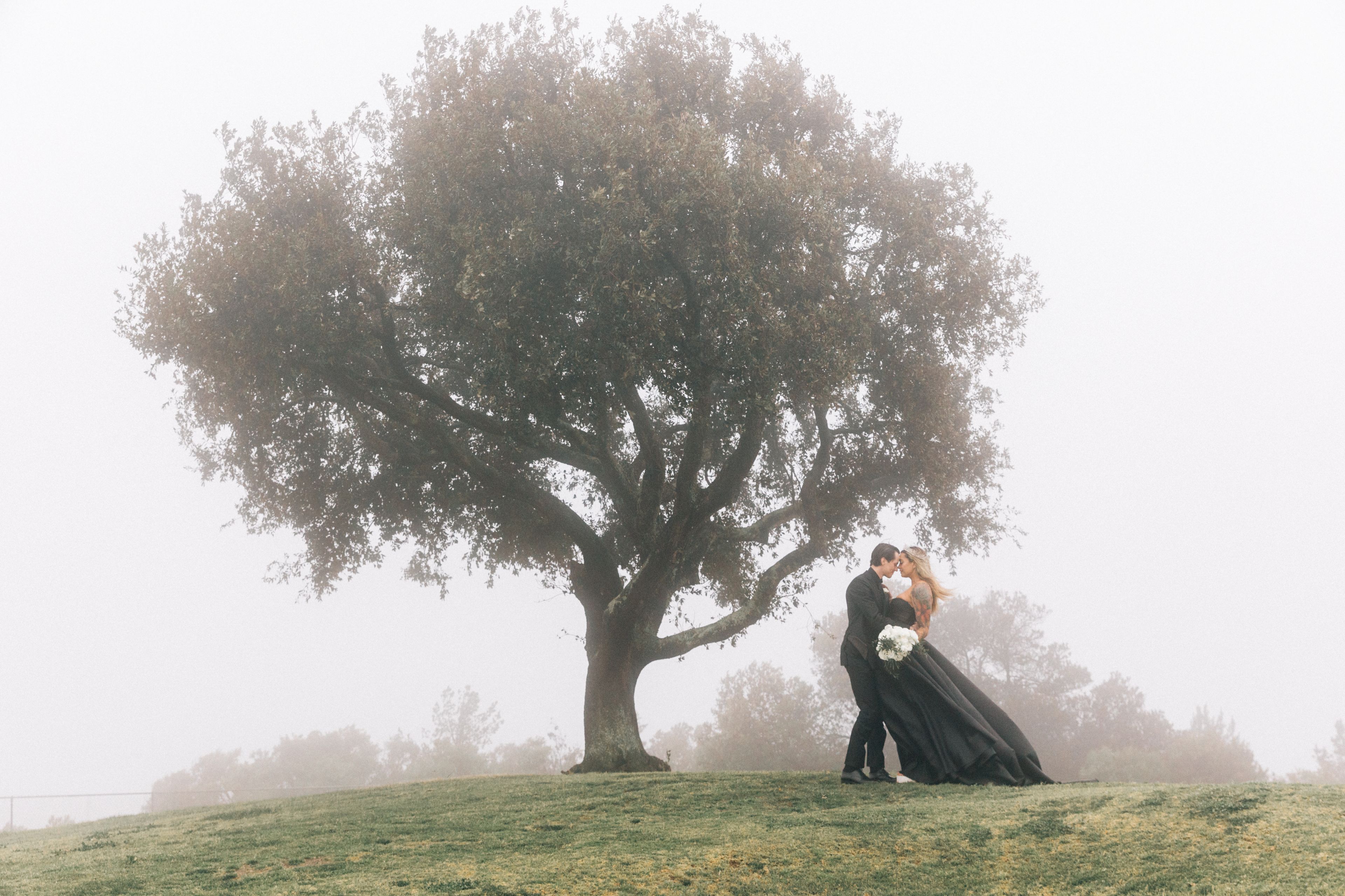 Cover photo of Frances Iacuzzi Photography