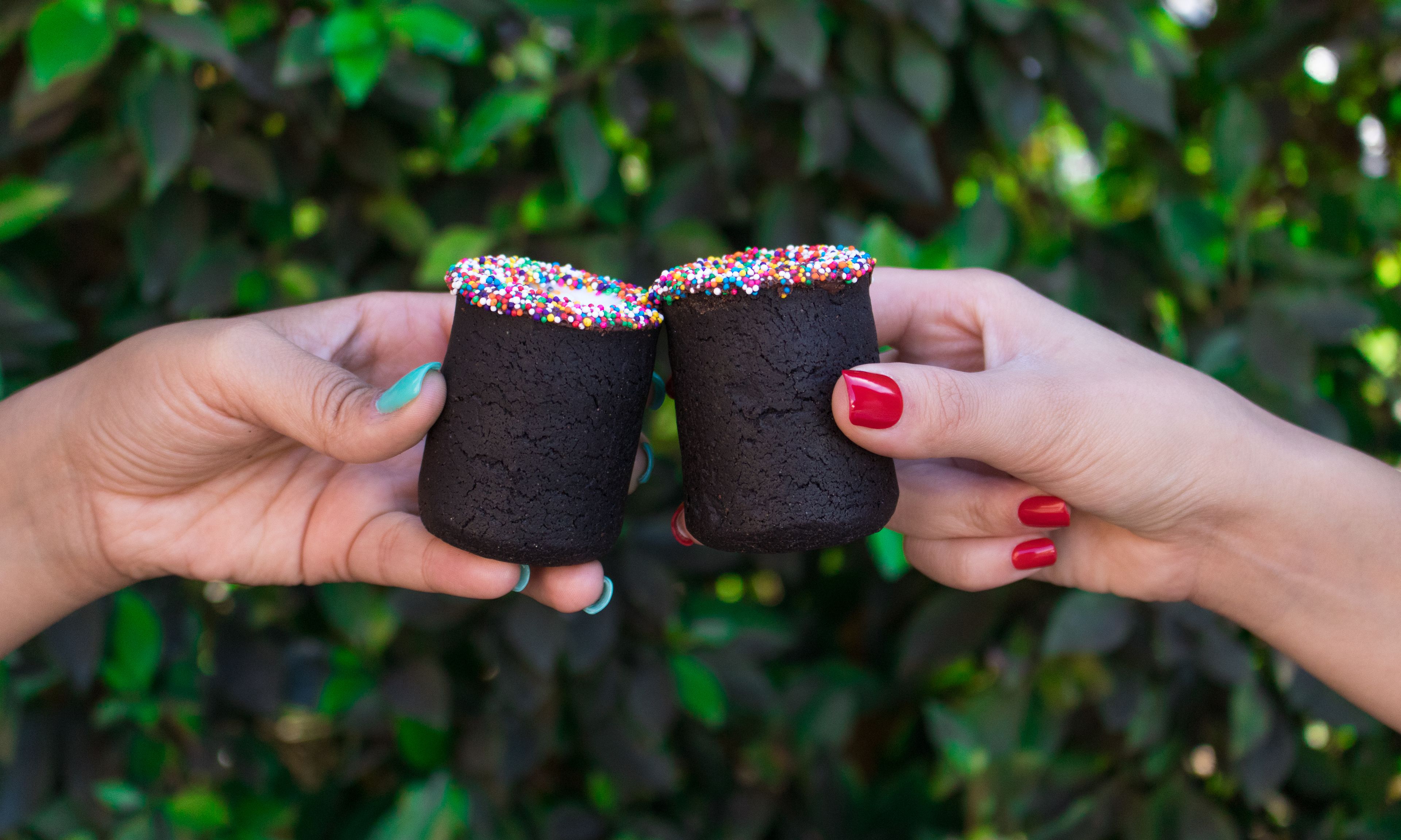 Cover photo of The Dirty Cookie