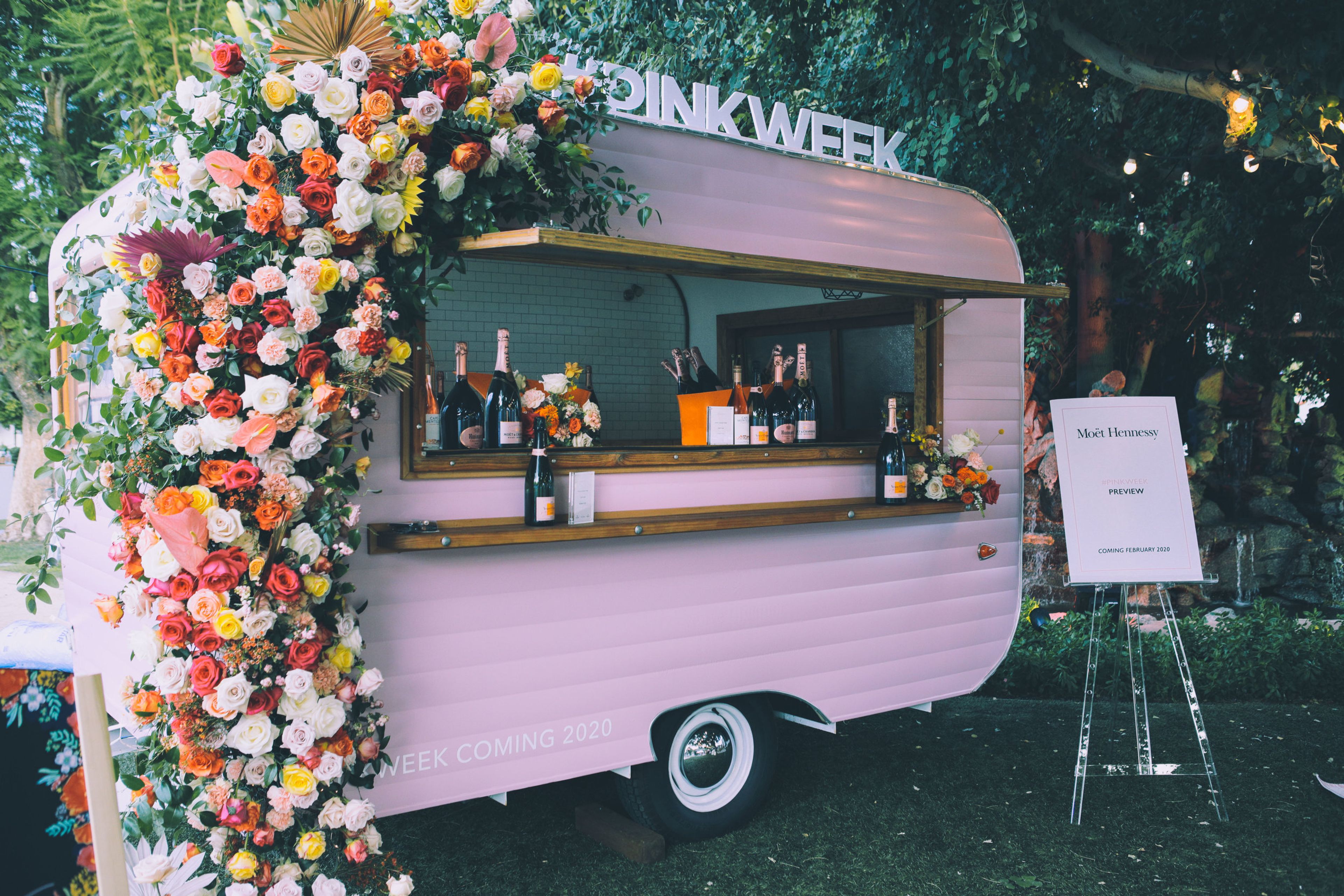 Cover photo of Social Society